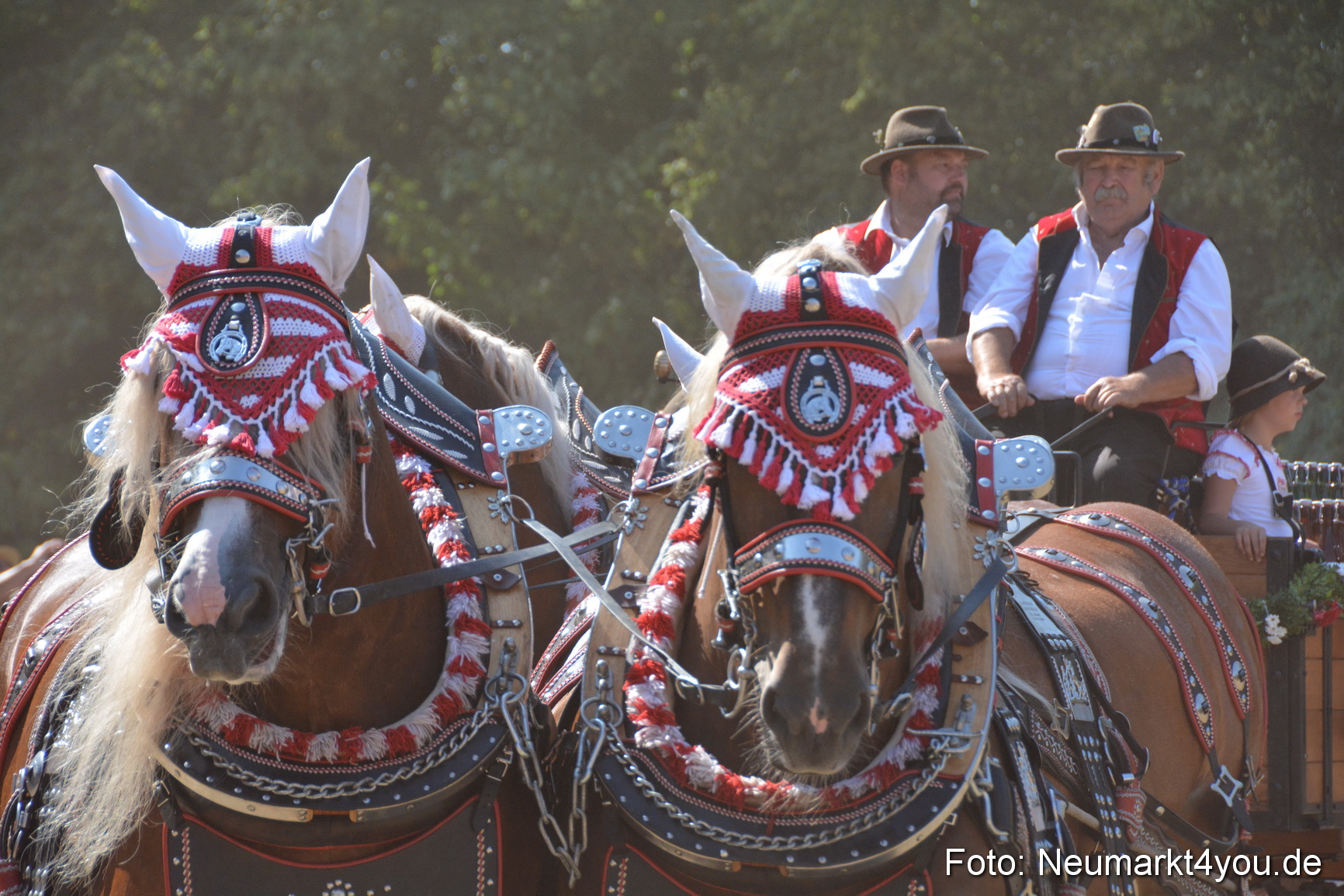 Pferde und Fohlenschau JURA Volksfest 2018 0351