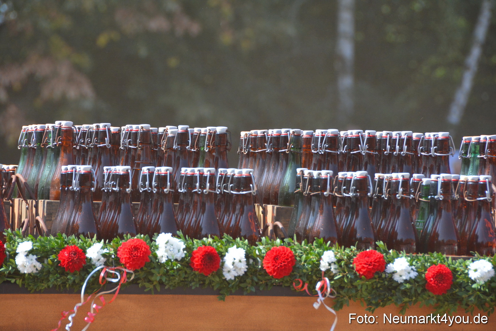 Pferde und Fohlenschau JURA Volksfest 2018 0352