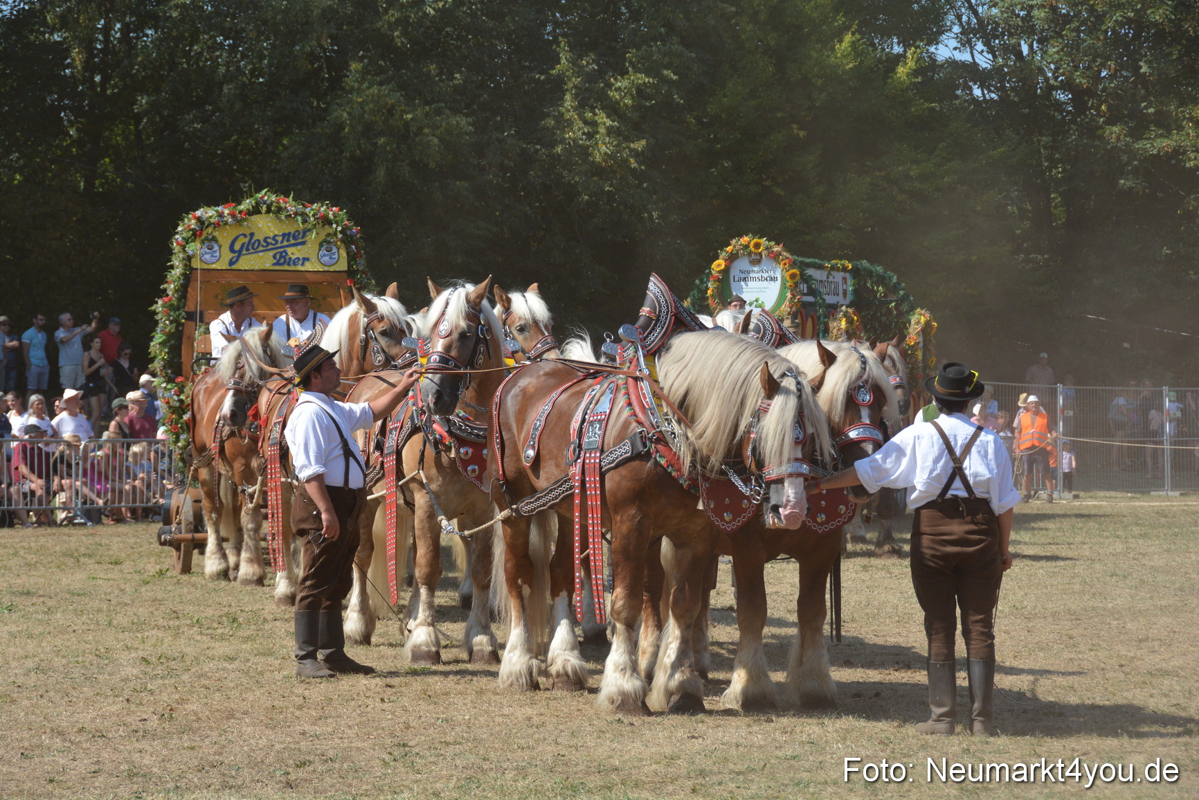 Pferde und Fohlenschau JURA Volksfest 2018 0353