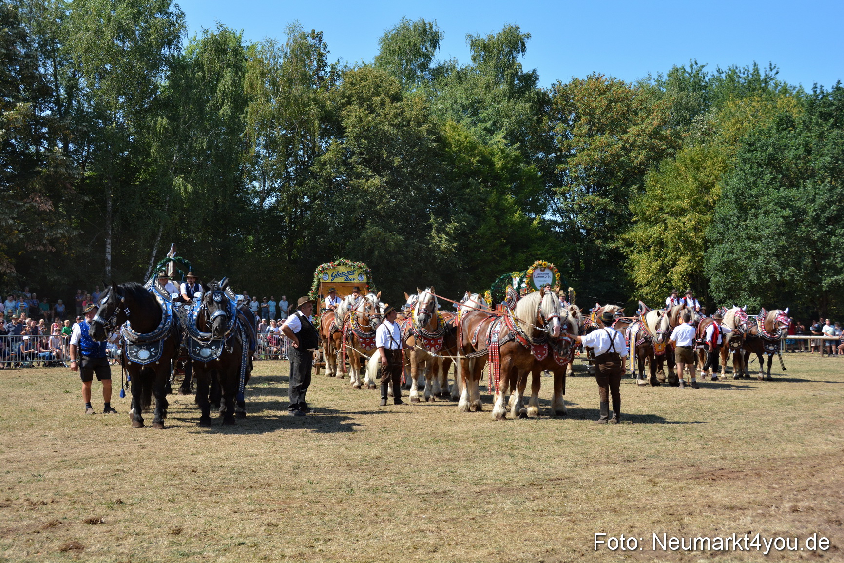 Pferde und Fohlenschau JURA Volksfest 2018 0354