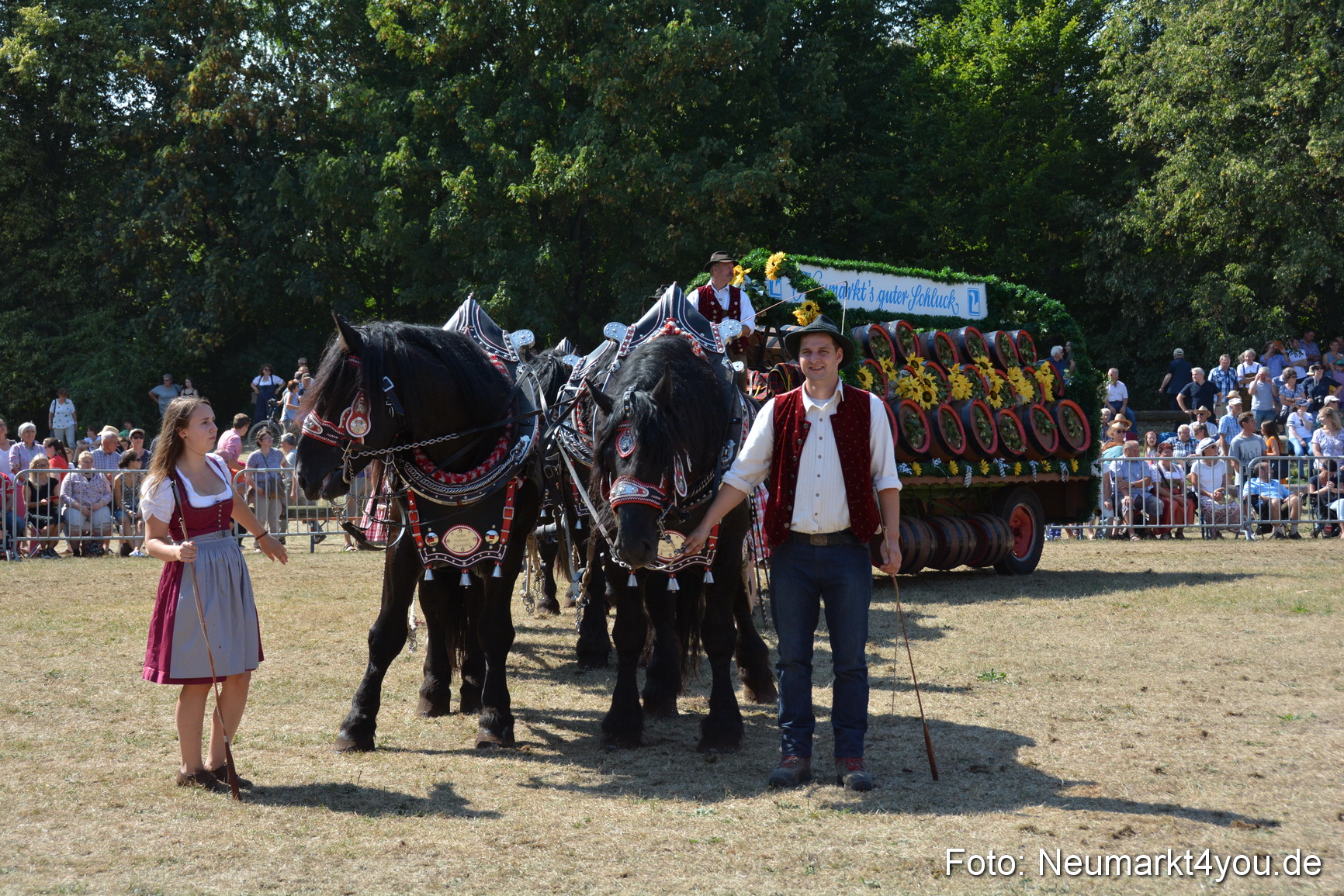 Pferde und Fohlenschau JURA Volksfest 2018 0355
