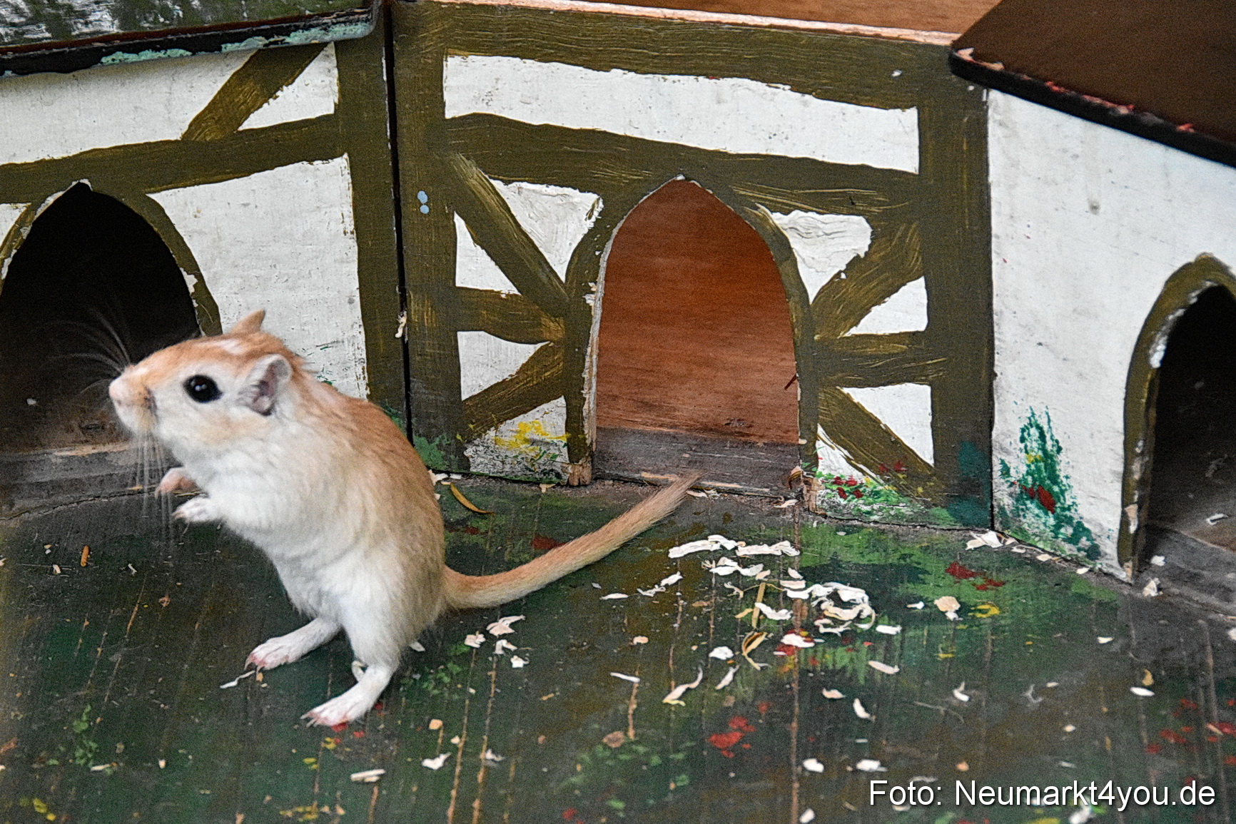 Altstadtfest Neumarkt 2019 0283