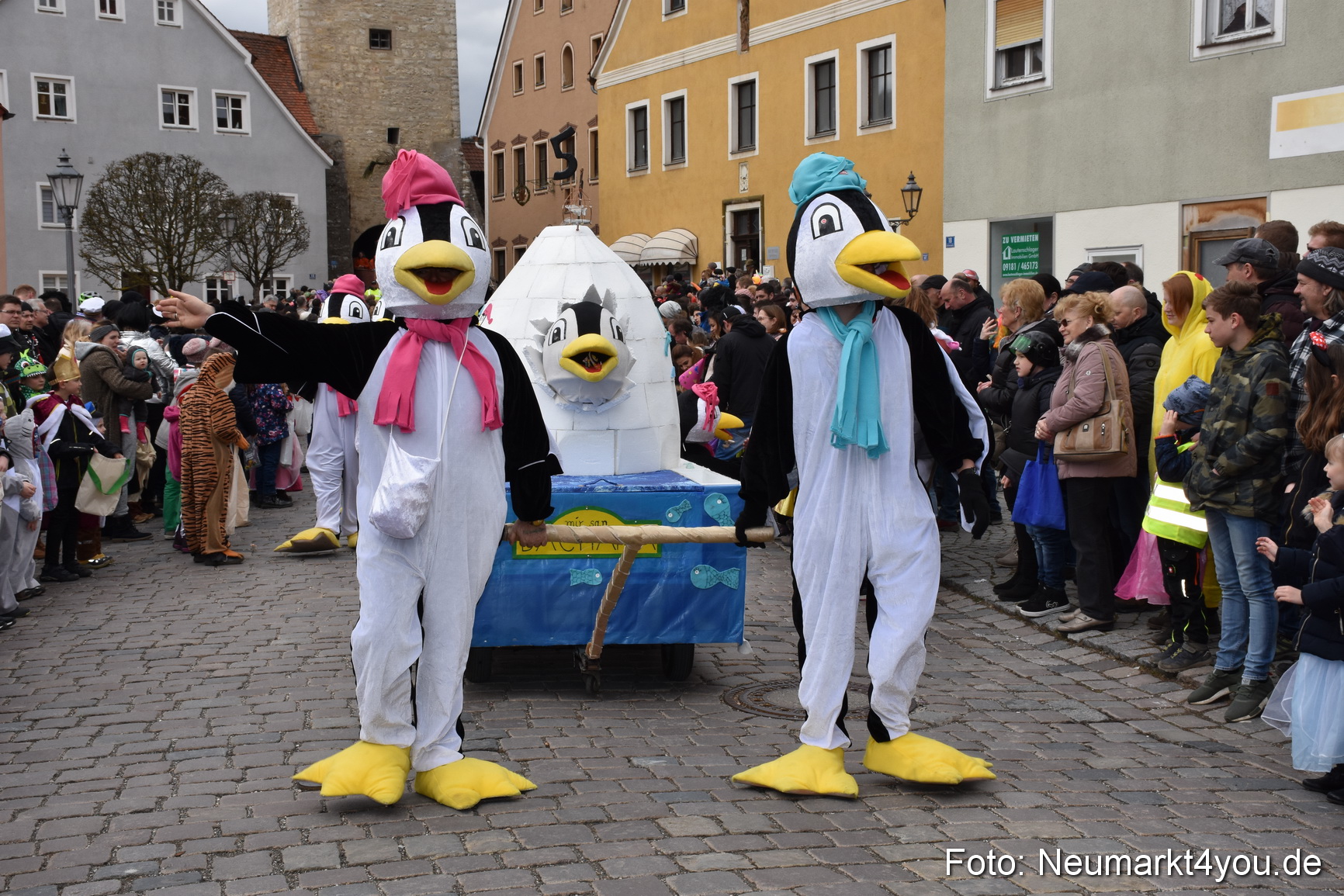 Faschingszug Berching 2019 0112