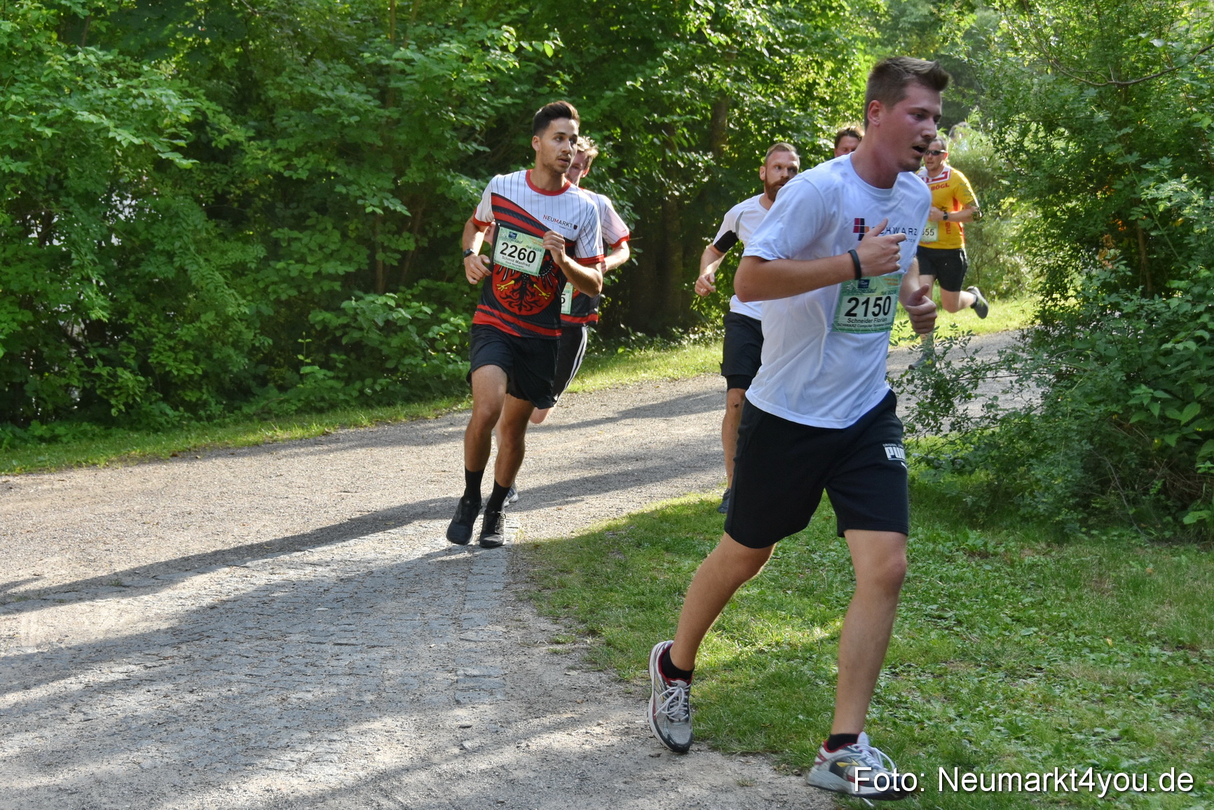 10 Automobile Fischer Firmenlauf 2019 1069