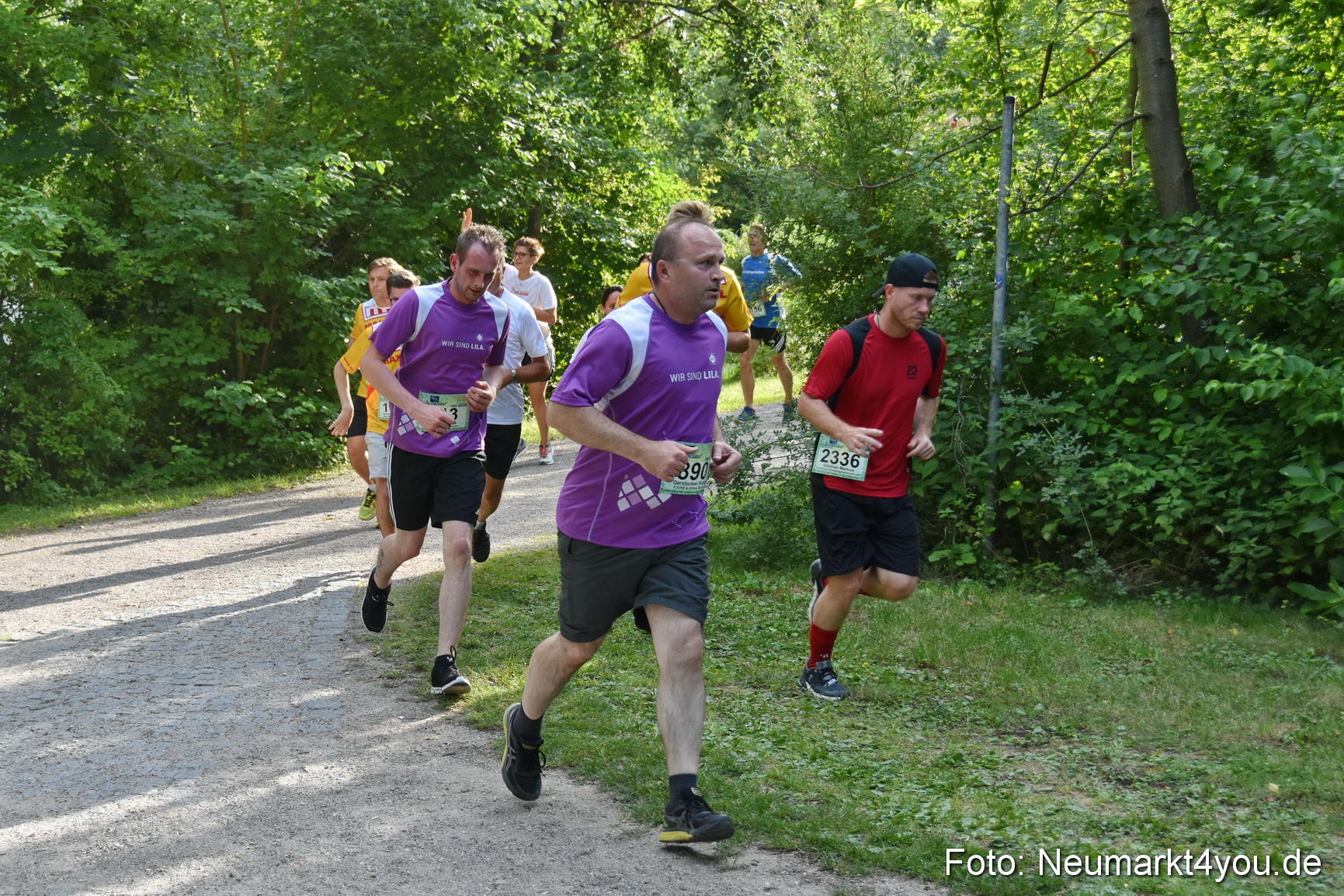 10 Automobile Fischer Firmenlauf 2019 1239