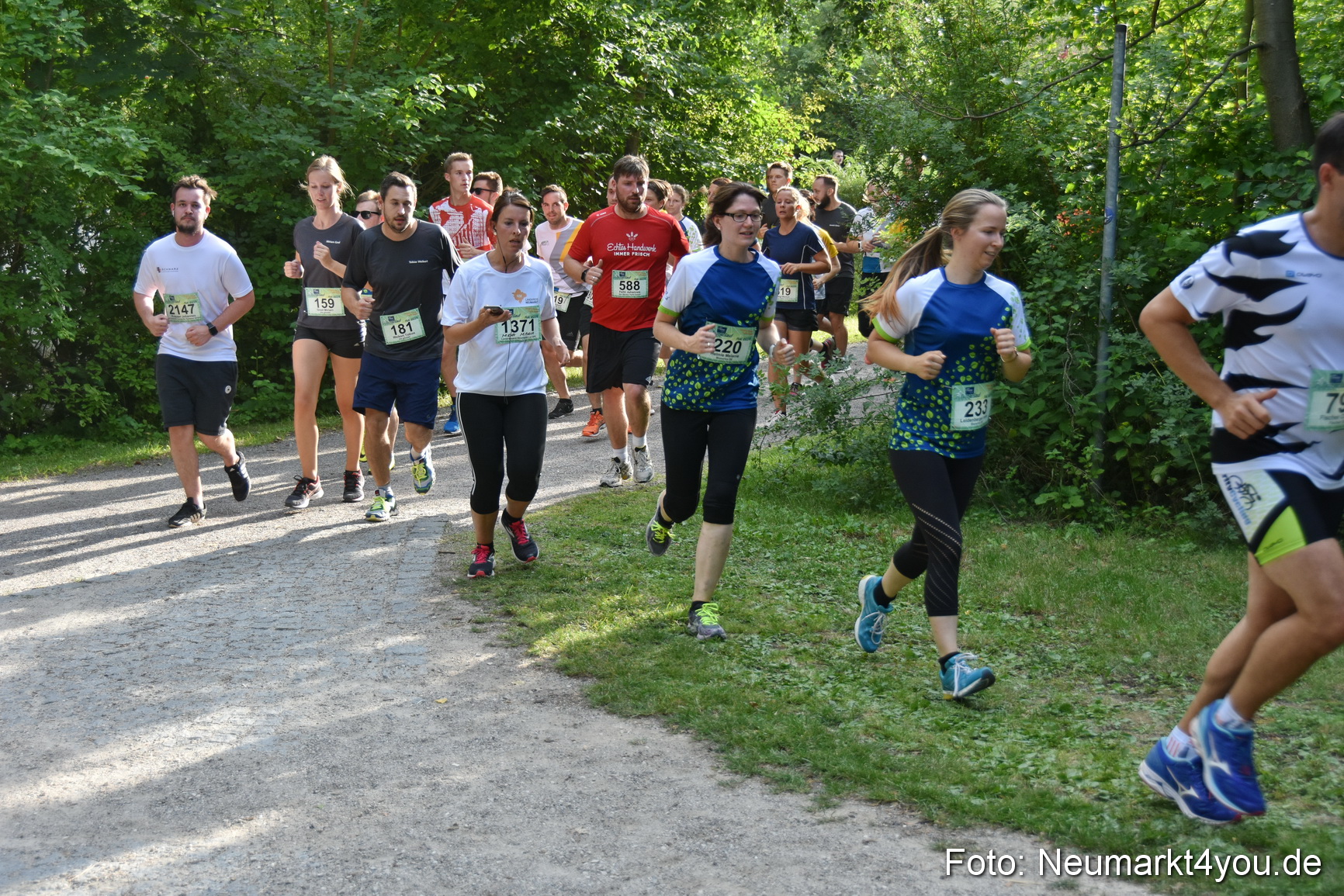 10 Automobile Fischer Firmenlauf 2019 1263