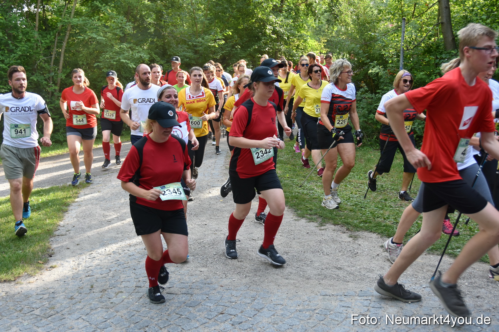 10 Automobile Fischer Firmenlauf 2019 1393