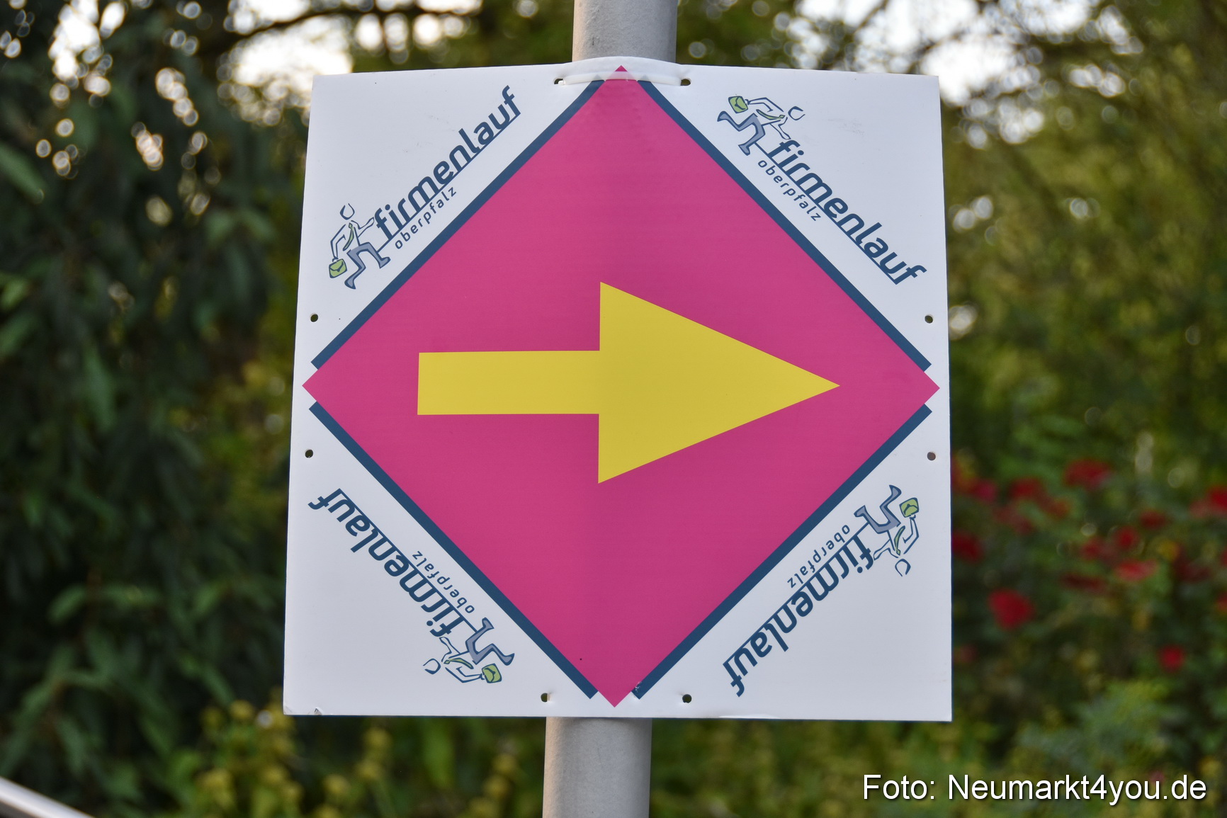 10 Automobile Fischer Firmenlauf 2019 1639