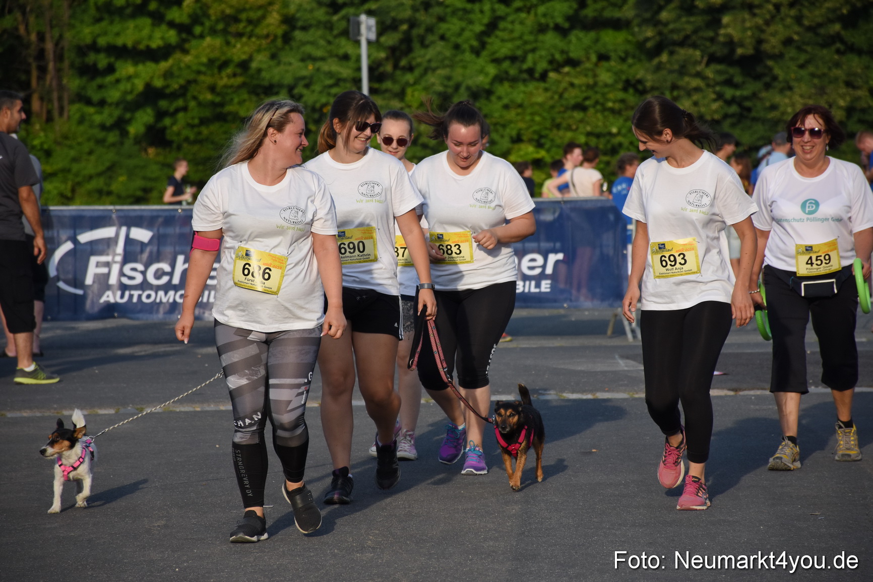 10 Automobile Fischer Firmenlauf 2019 1012