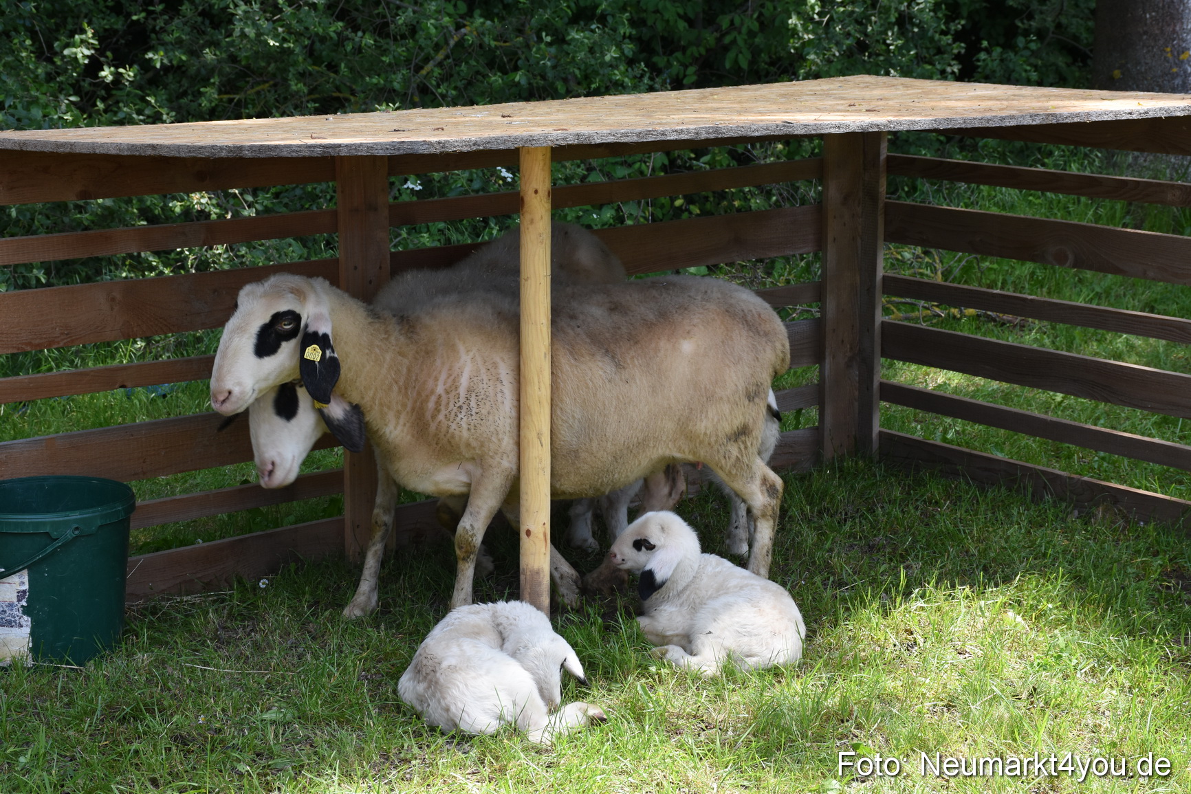 Fruehlingsfest Neumarkt 2019 0287