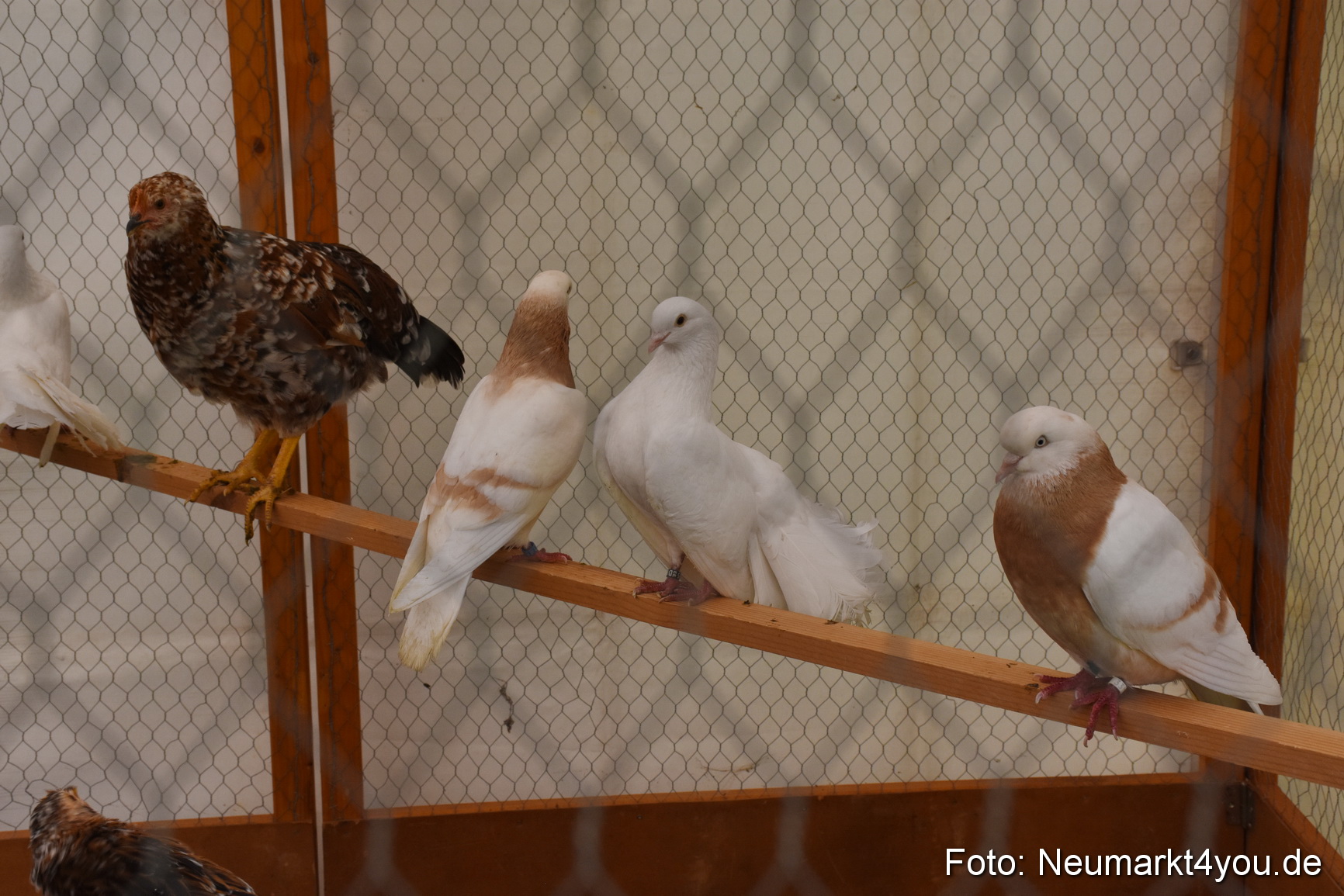 Fruehlingsfest Neumarkt 2019 0288