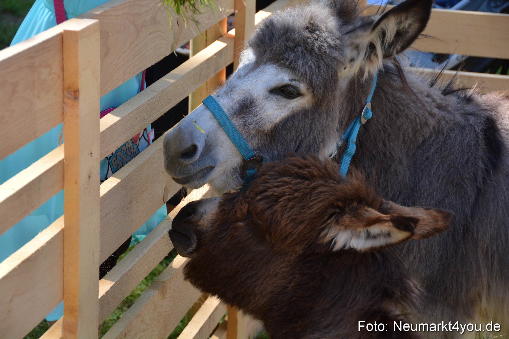Fruehlingsfest Neumarkt 2019 0294