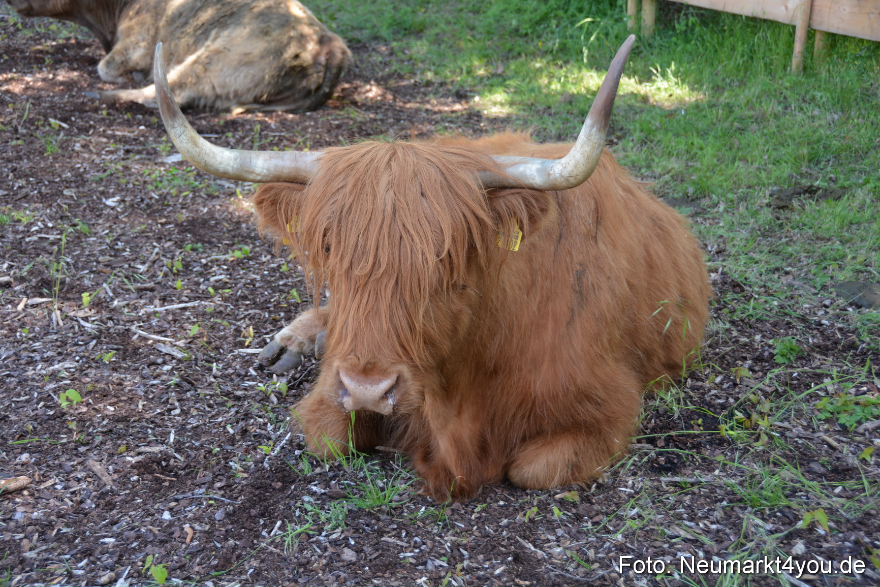 Fruehlingsfest Neumarkt 2019 0297