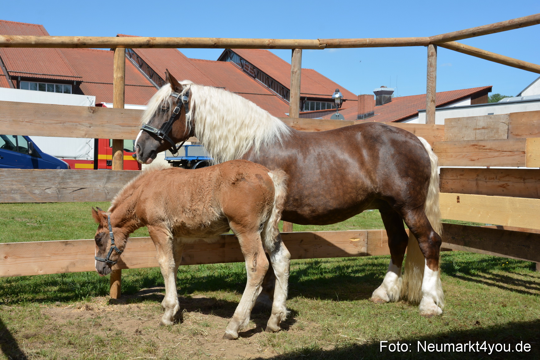 Fruehlingsfest Neumarkt 2019 0298