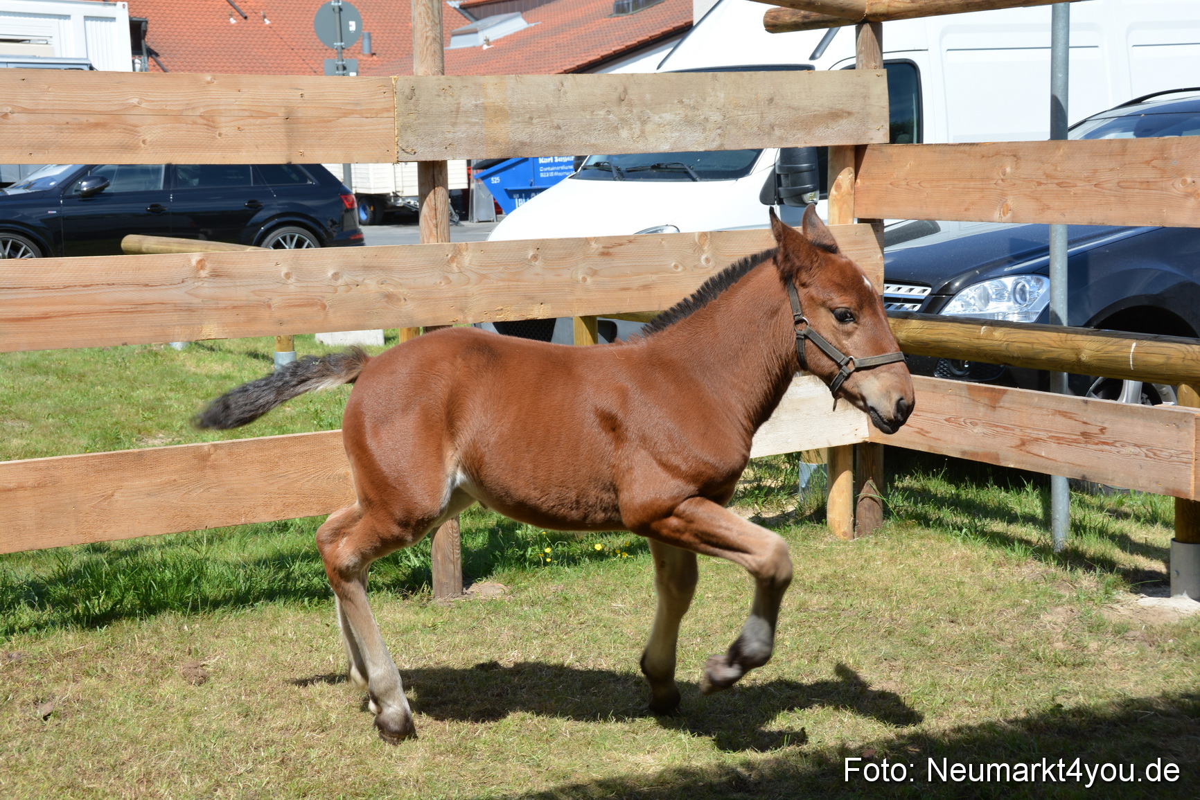 Fruehlingsfest Neumarkt 2019 0299