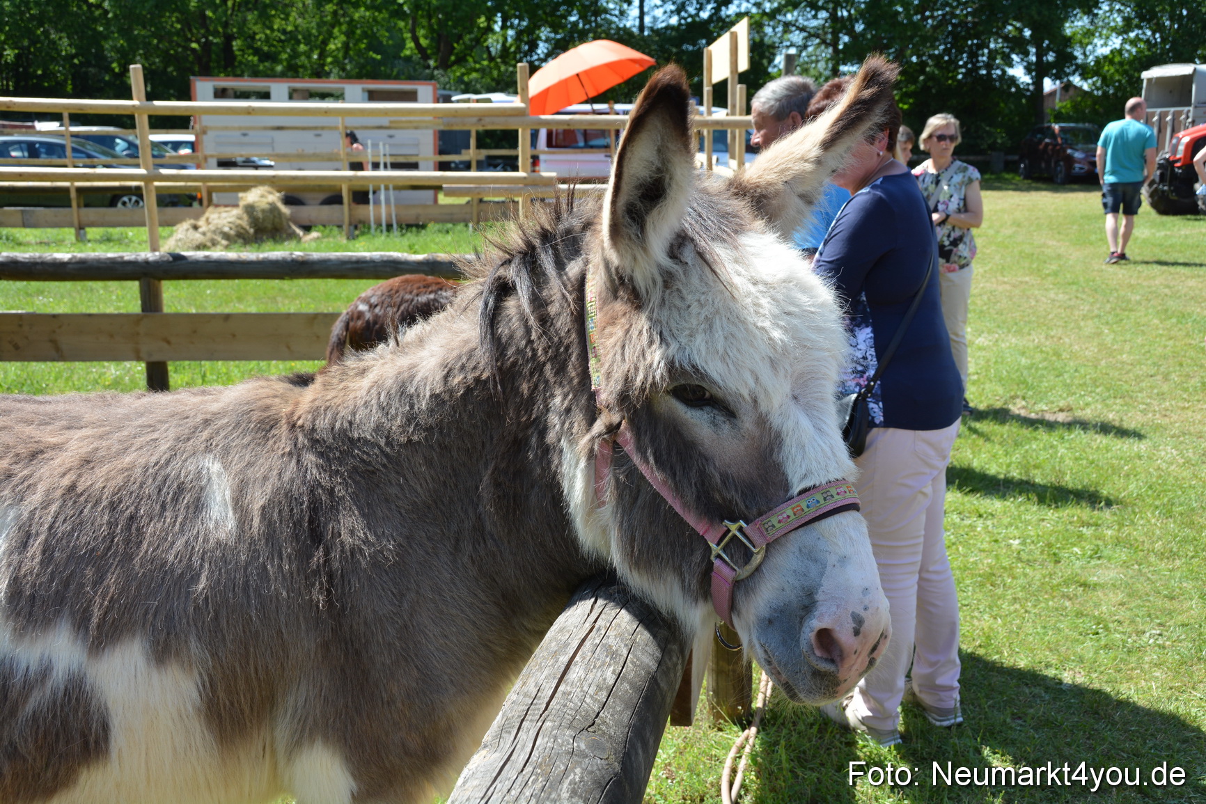 Fruehlingsfest Neumarkt 2019 0300