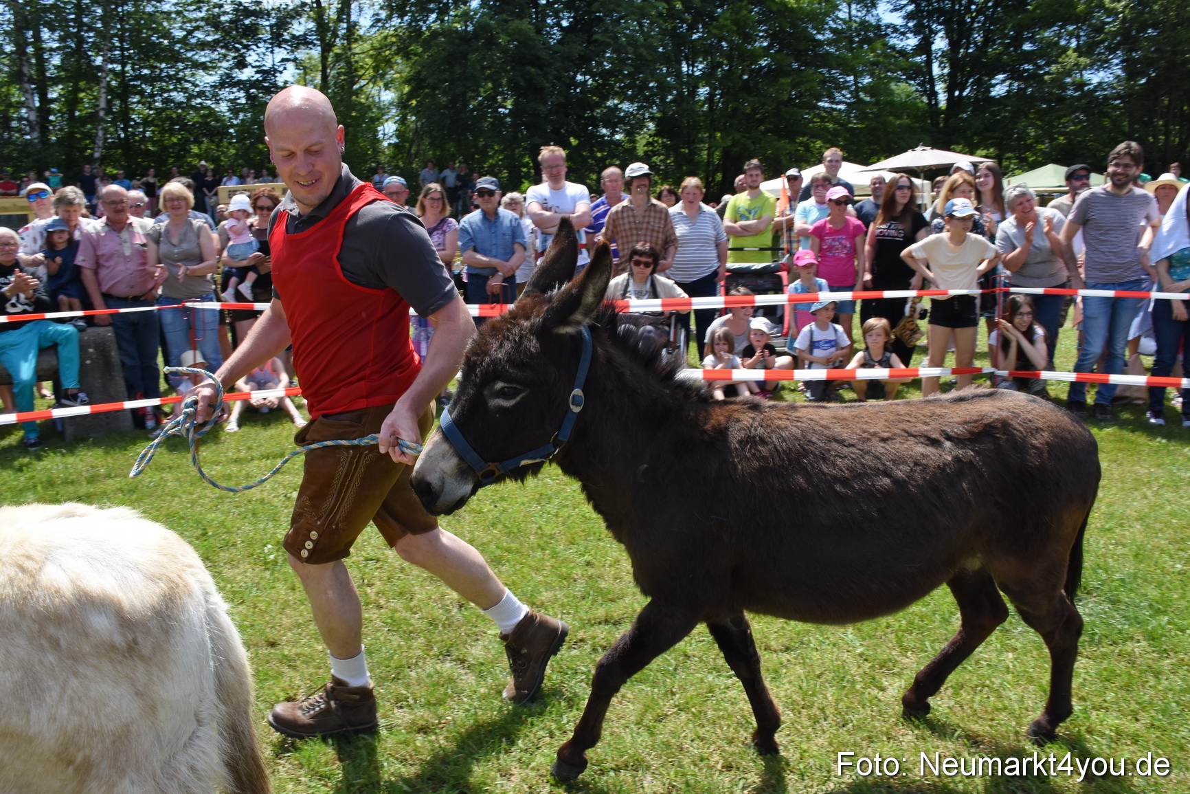 Fruehlingsfest Neumarkt 2019 0117