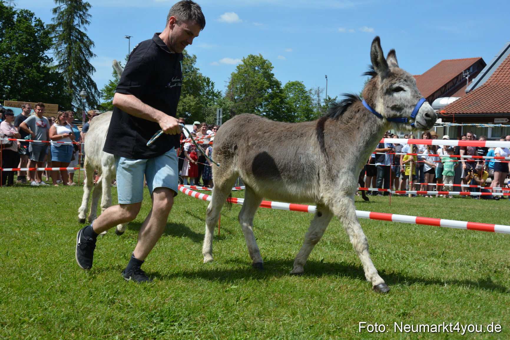 Fruehlingsfest Neumarkt 2019 0163