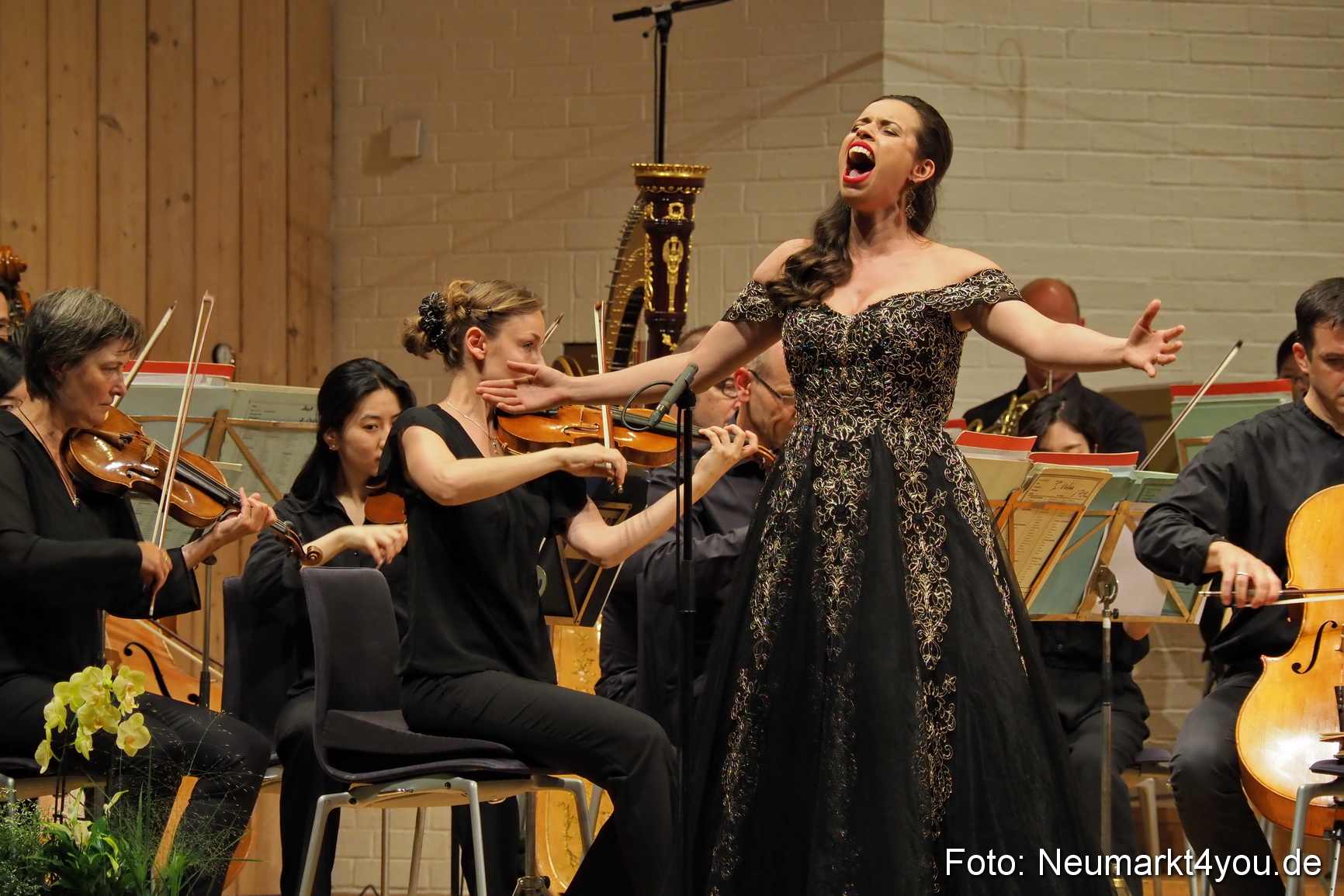 IMA Orchestergala 2019 0052