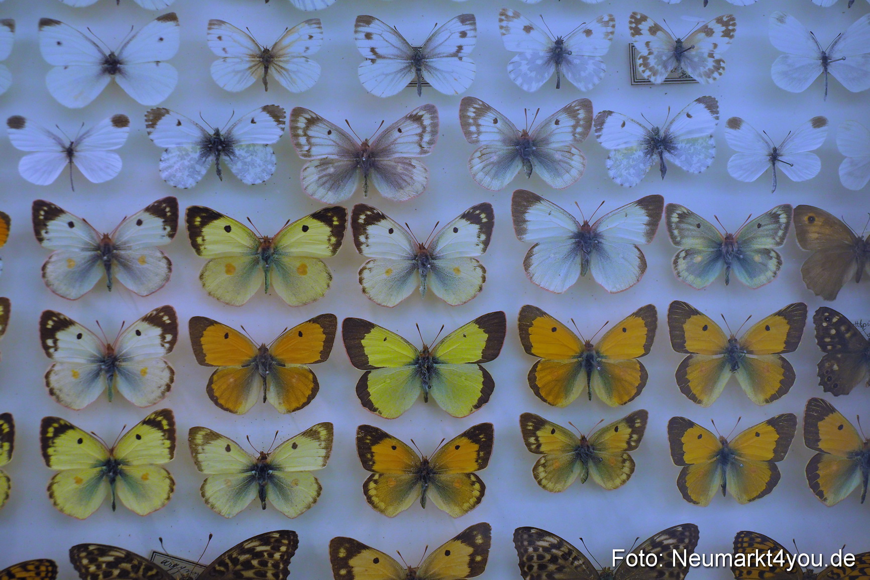 Kulturnacht Neumarkt 2019 0129