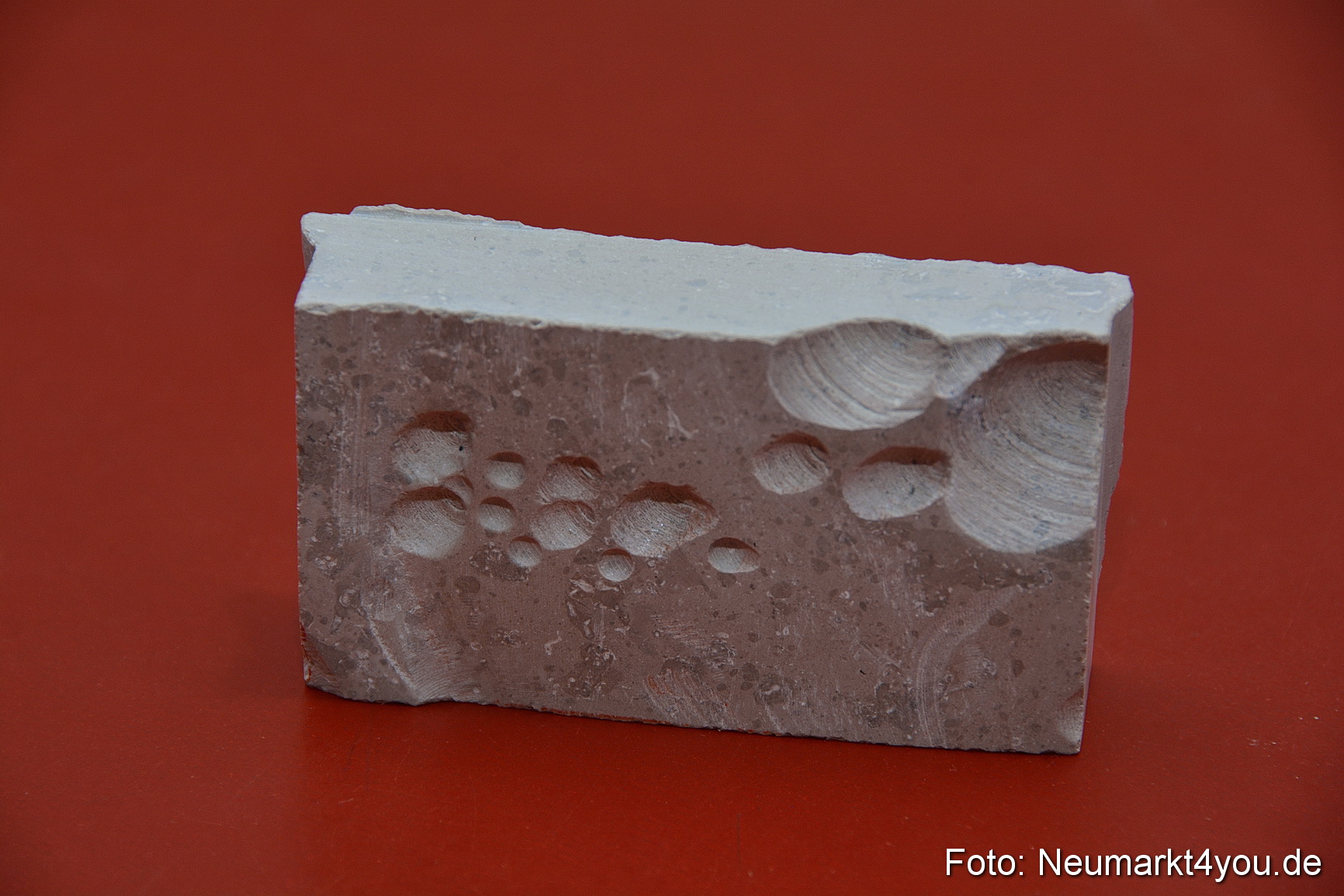 Kunst ohne Filter 060419 0007