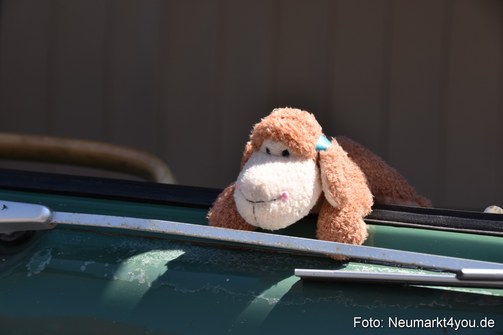 Oldtimertreffen Neumarkt 2019 0143