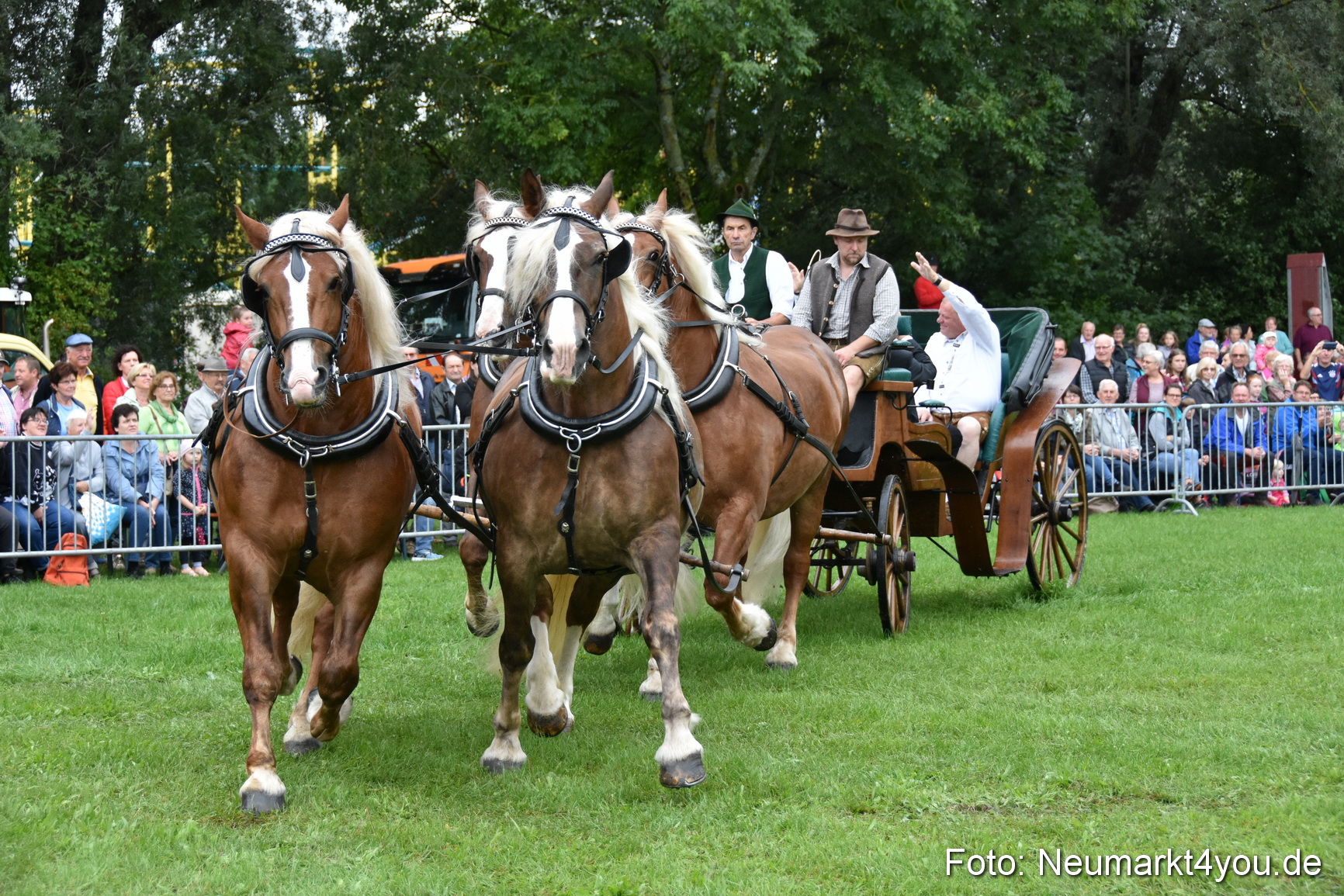 JURA Volksfest Pferdeshow 190819 0002