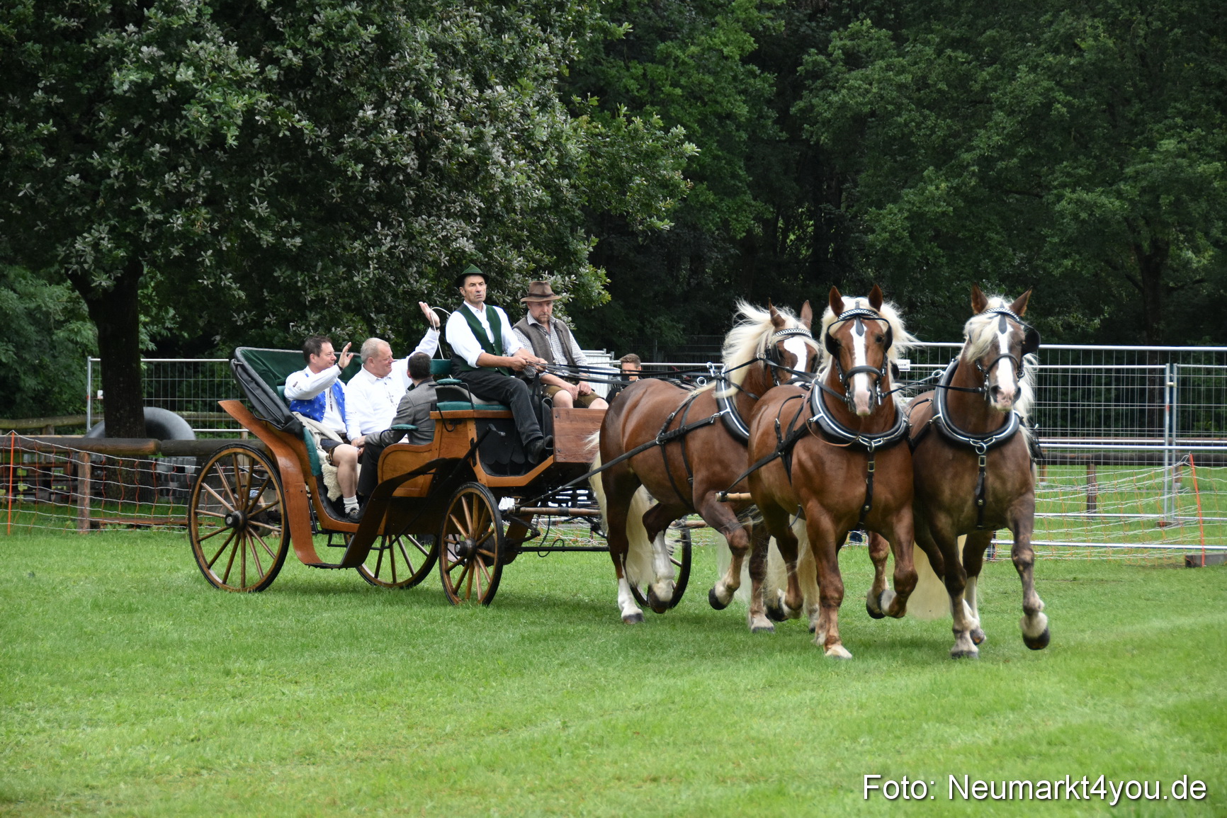 JURA Volksfest Pferdeshow 190819 0005