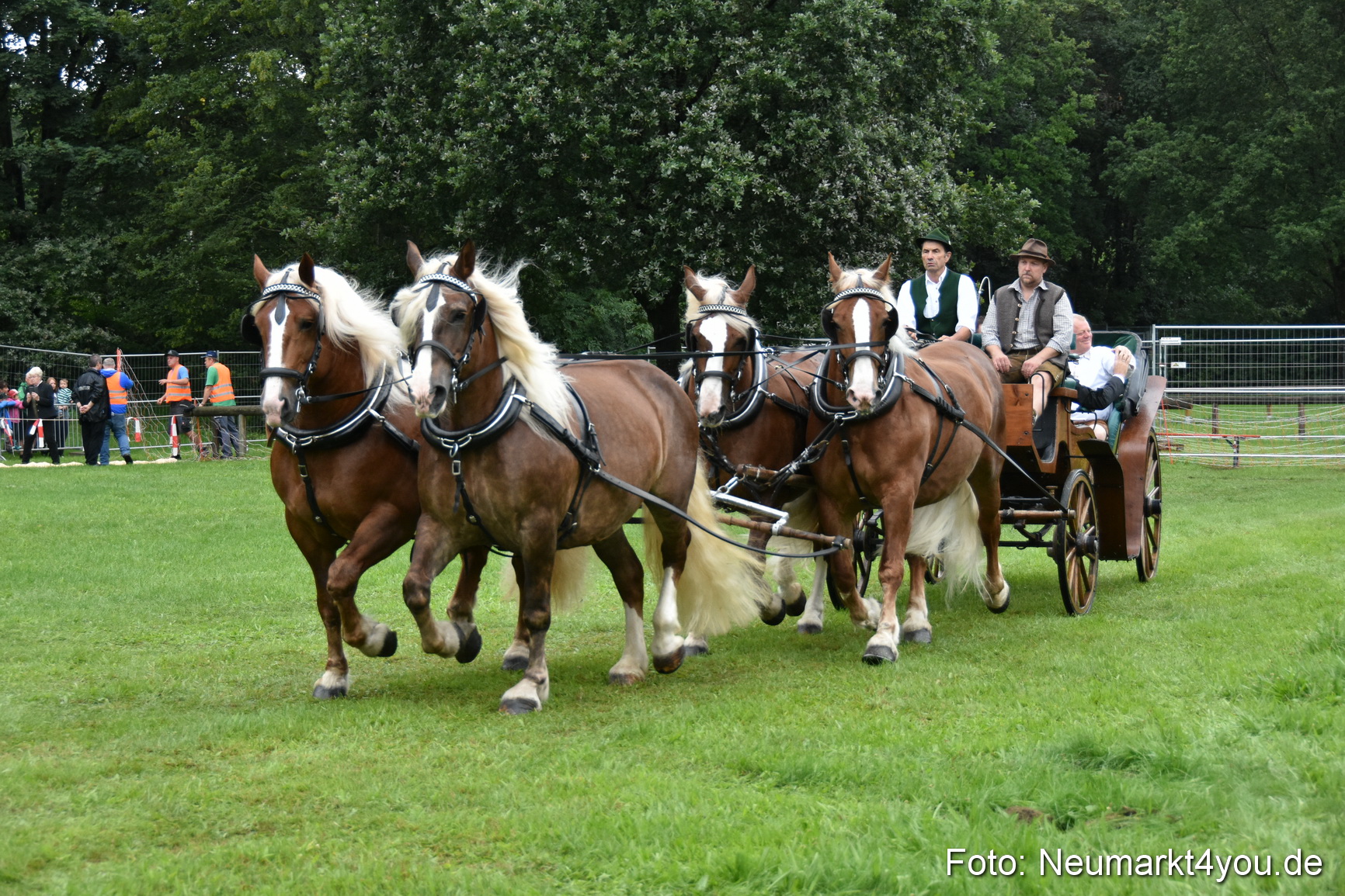 JURA Volksfest Pferdeshow 190819 0006