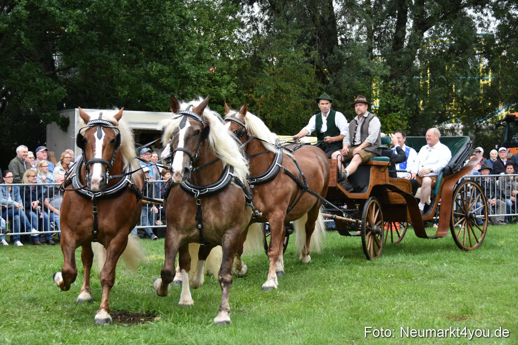 JURA Volksfest Pferdeshow 190819 0009