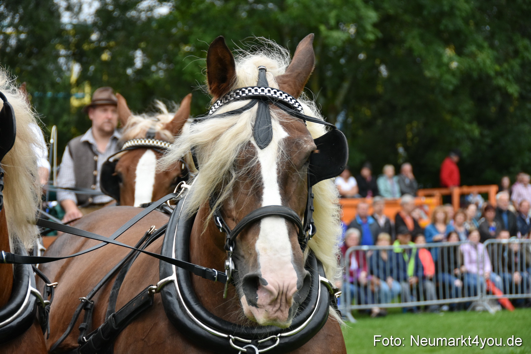 JURA Volksfest Pferdeshow 190819 0010