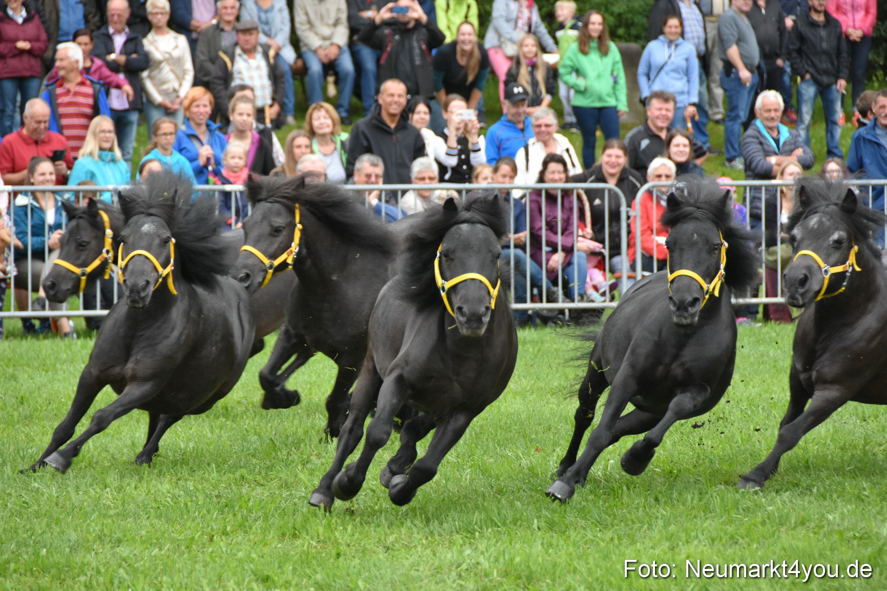 JURA Volksfest Pferdeshow 190819 0013