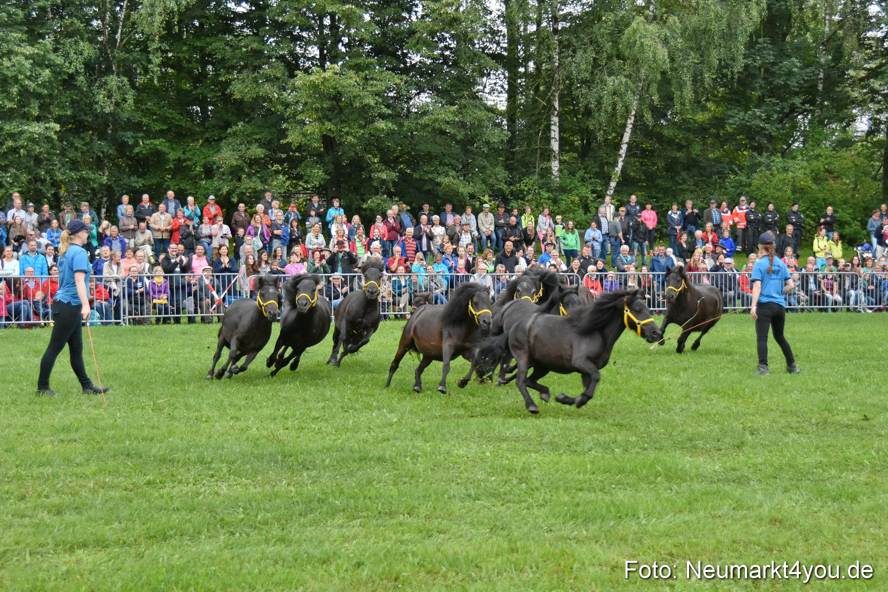 JURA Volksfest Pferdeshow 190819 0014
