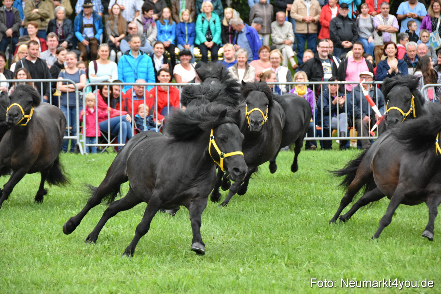 JURA Volksfest Pferdeshow 190819 0015