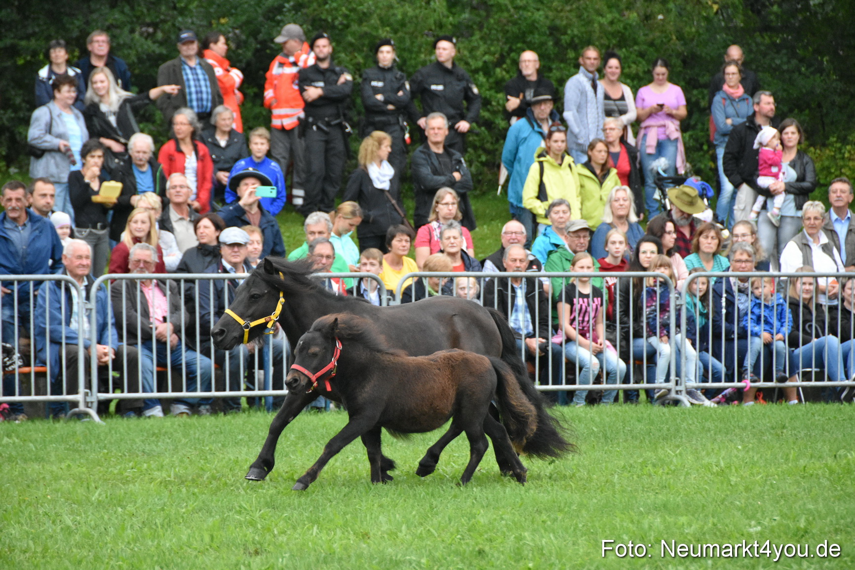JURA Volksfest Pferdeshow 190819 0016