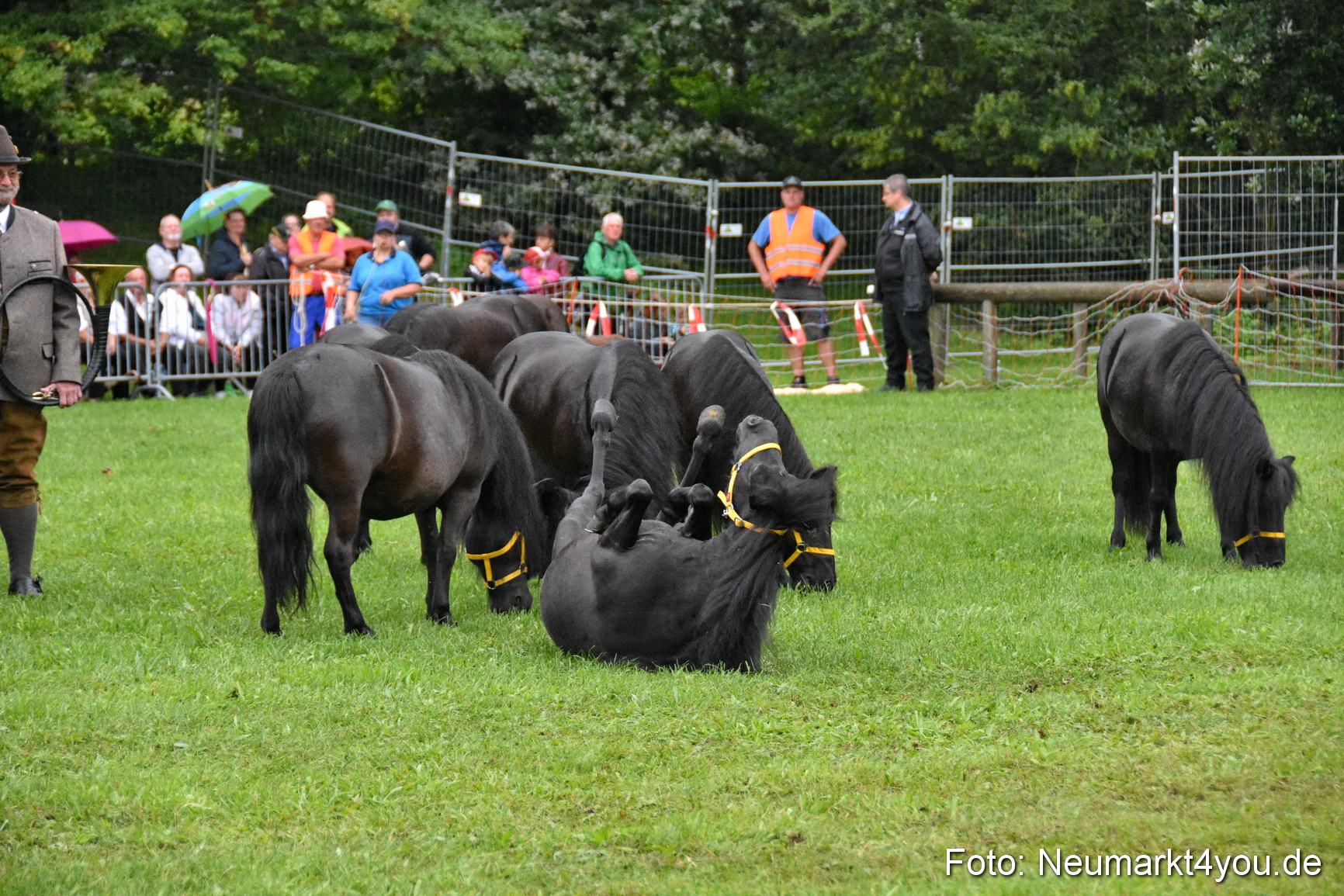 JURA Volksfest Pferdeshow 190819 0020