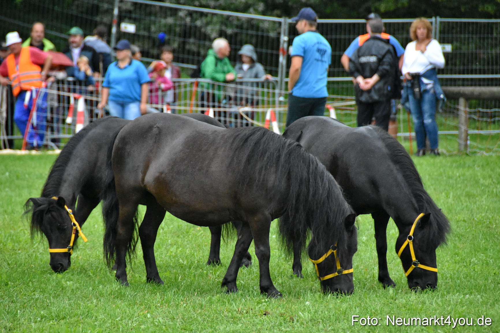 JURA Volksfest Pferdeshow 190819 0022