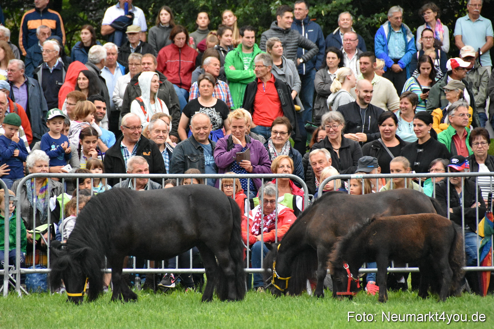 JURA Volksfest Pferdeshow 190819 0023
