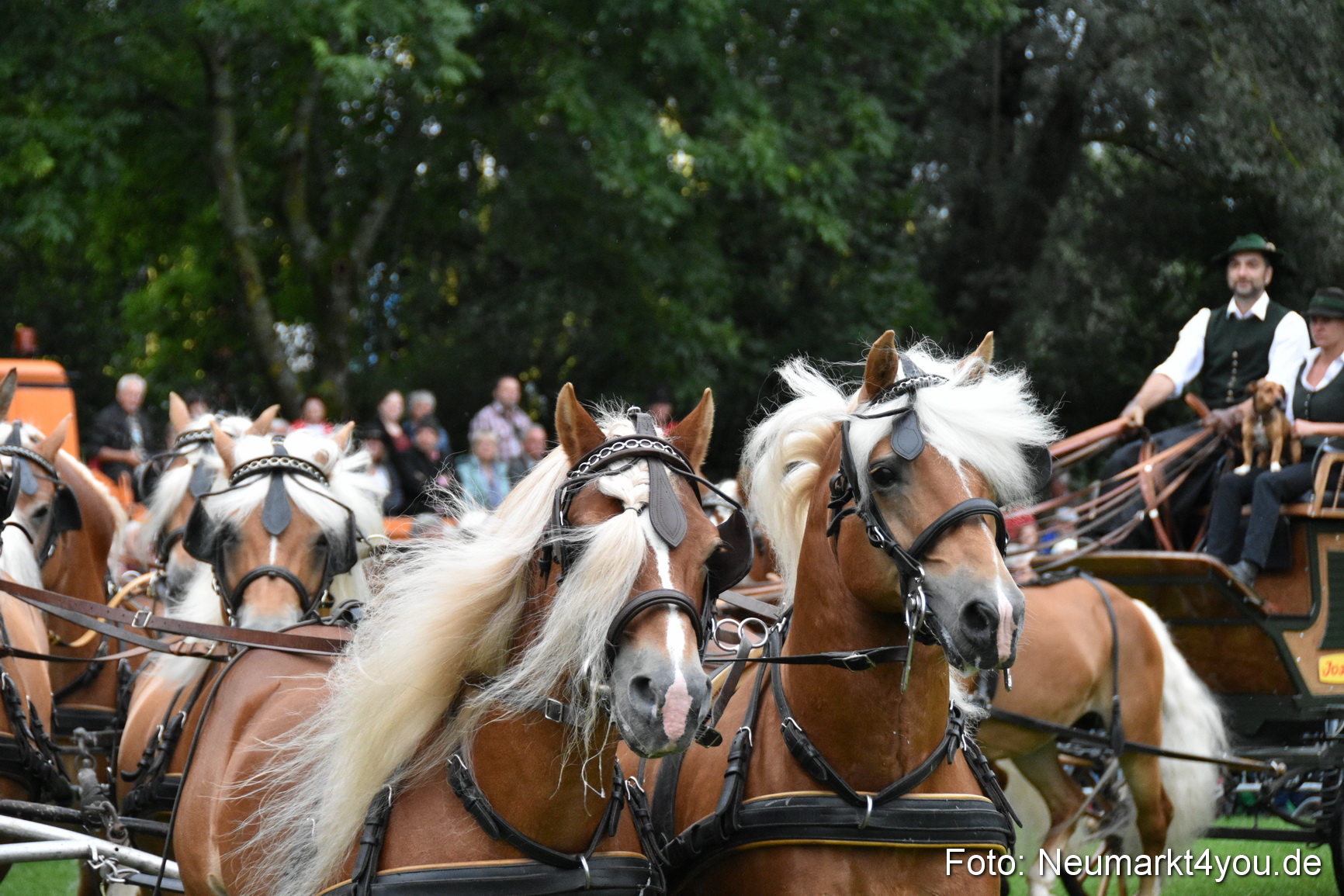 JURA Volksfest Pferdeshow 190819 0026