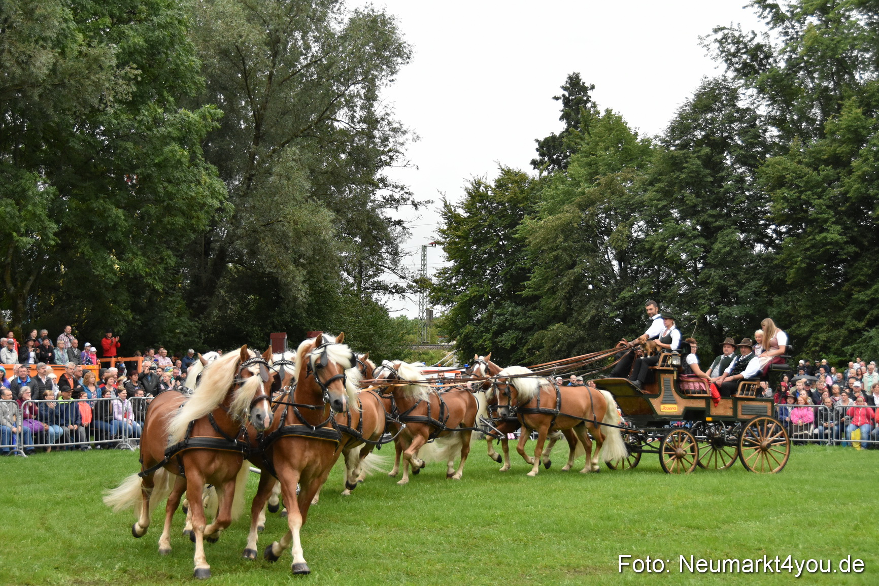 JURA Volksfest Pferdeshow 190819 0029