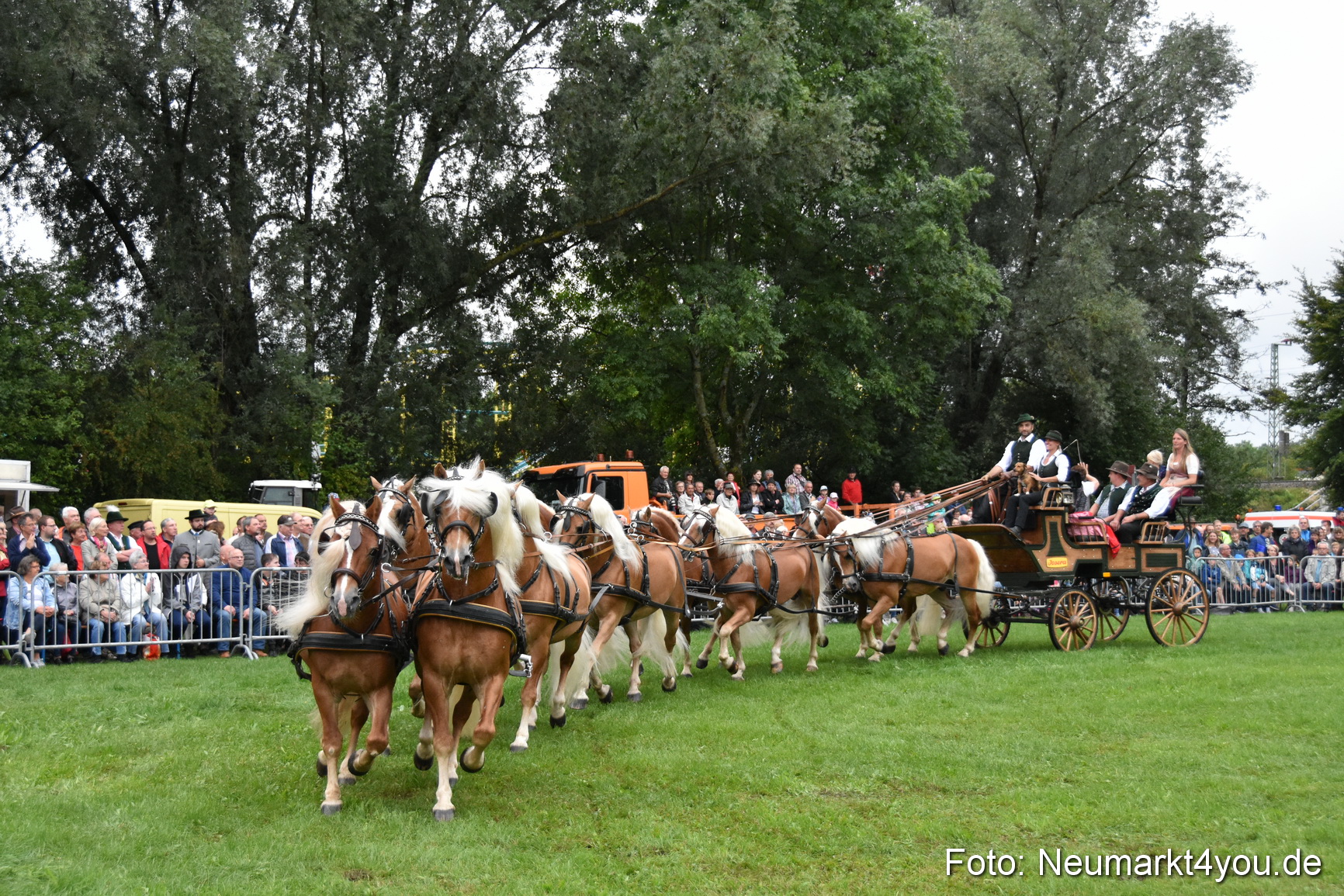 JURA Volksfest Pferdeshow 190819 0032