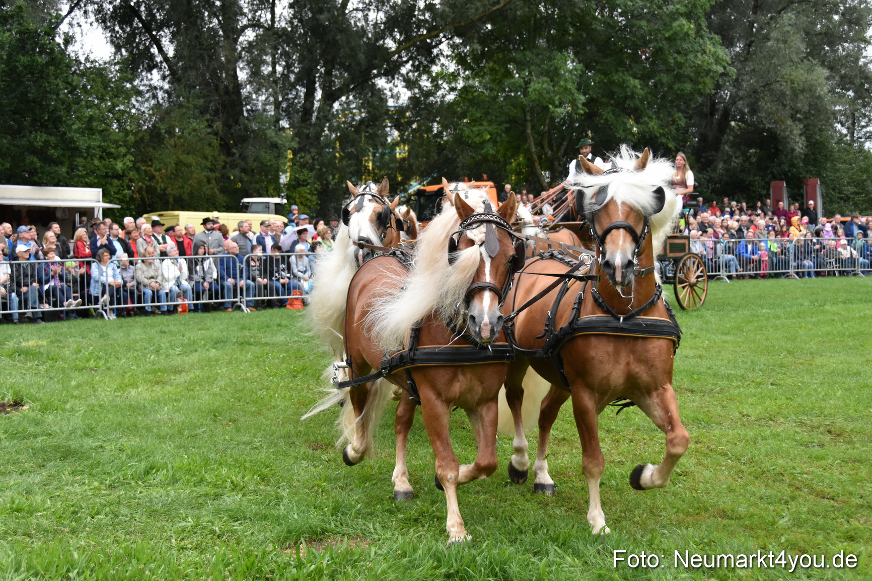 JURA Volksfest Pferdeshow 190819 0033