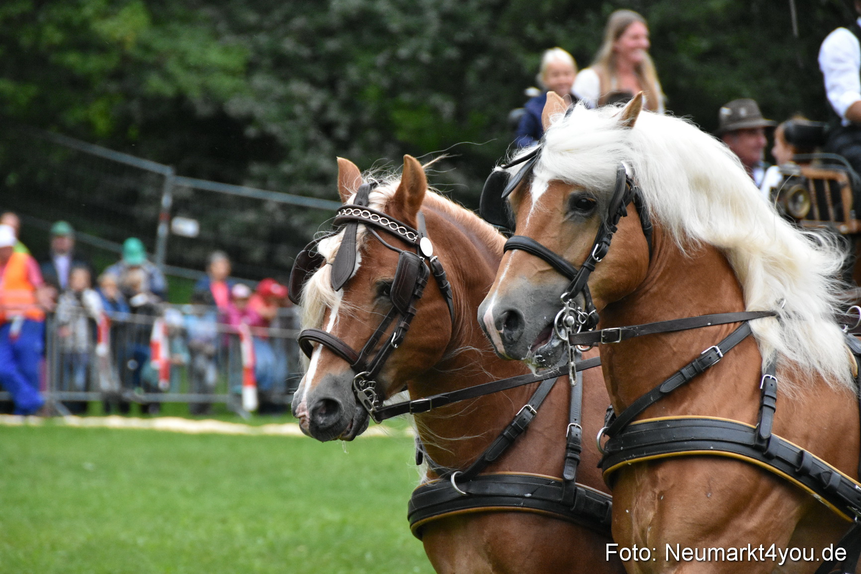 JURA Volksfest Pferdeshow 190819 0036