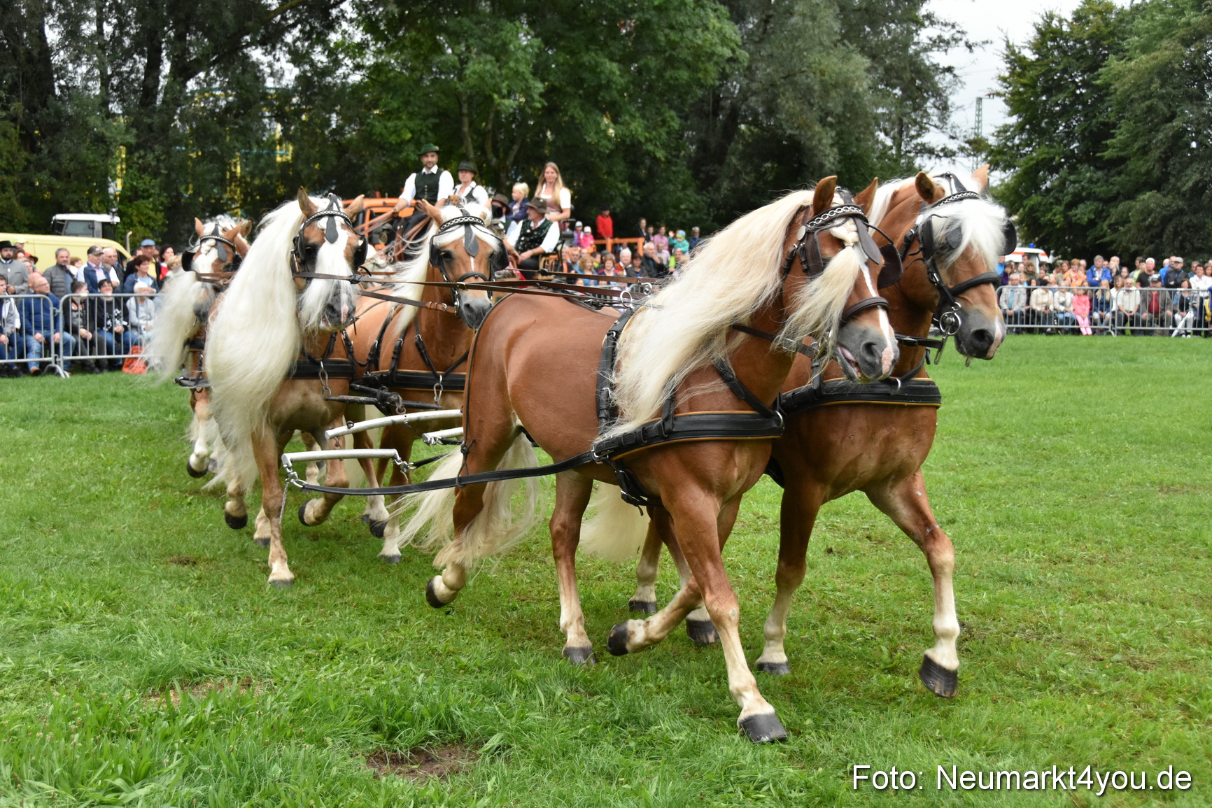 JURA Volksfest Pferdeshow 190819 0041