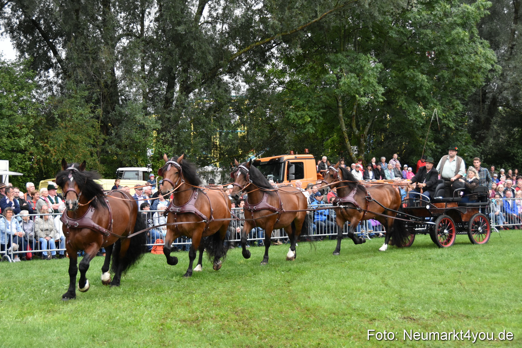 JURA Volksfest Pferdeshow 190819 0042