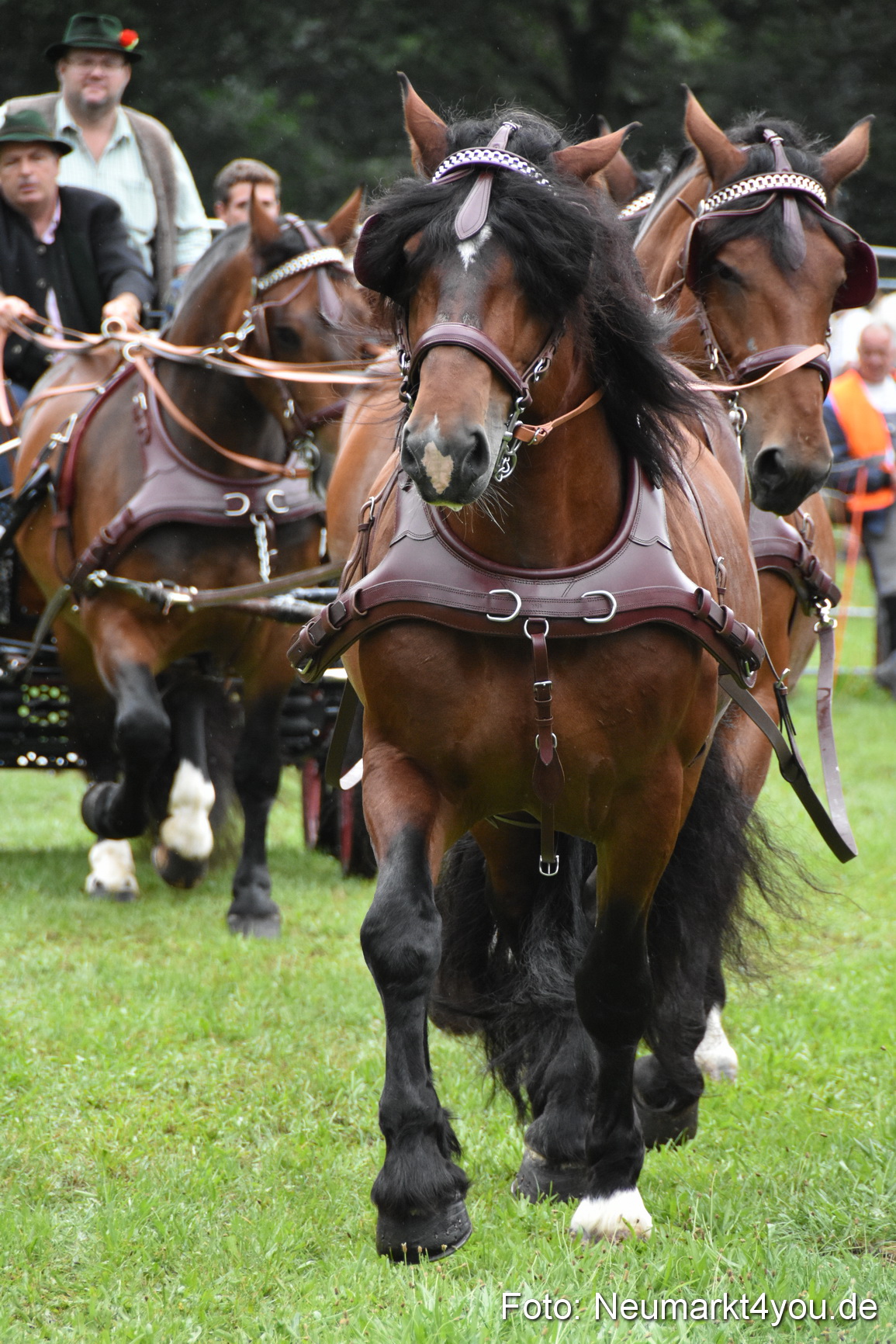 JURA Volksfest Pferdeshow 190819 0046