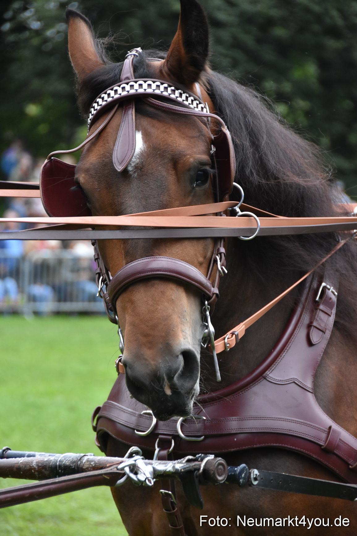 JURA Volksfest Pferdeshow 190819 0048