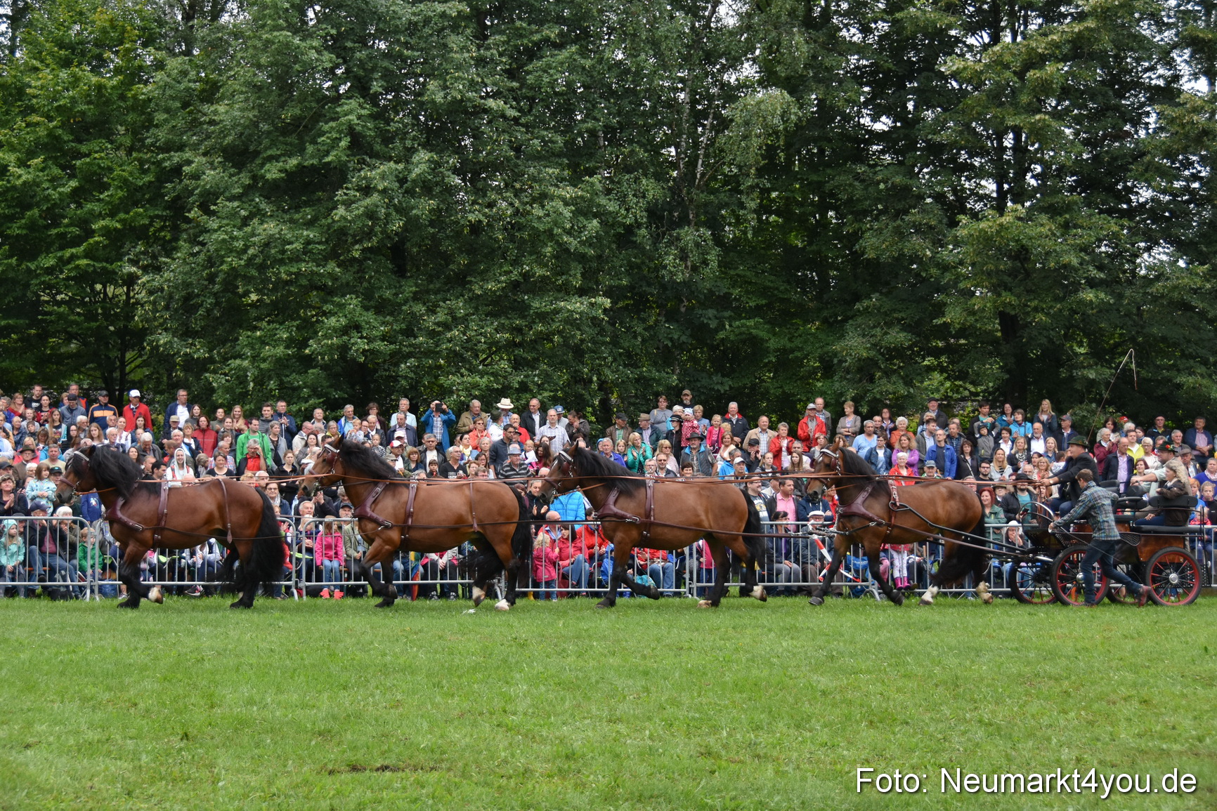 JURA Volksfest Pferdeshow 190819 0049