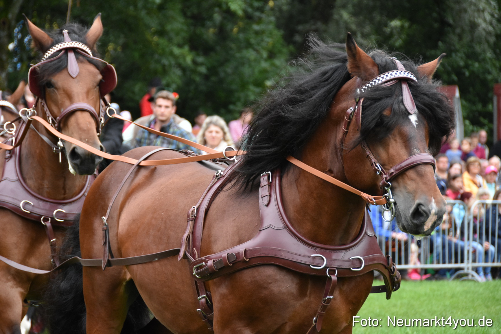 JURA Volksfest Pferdeshow 190819 0050