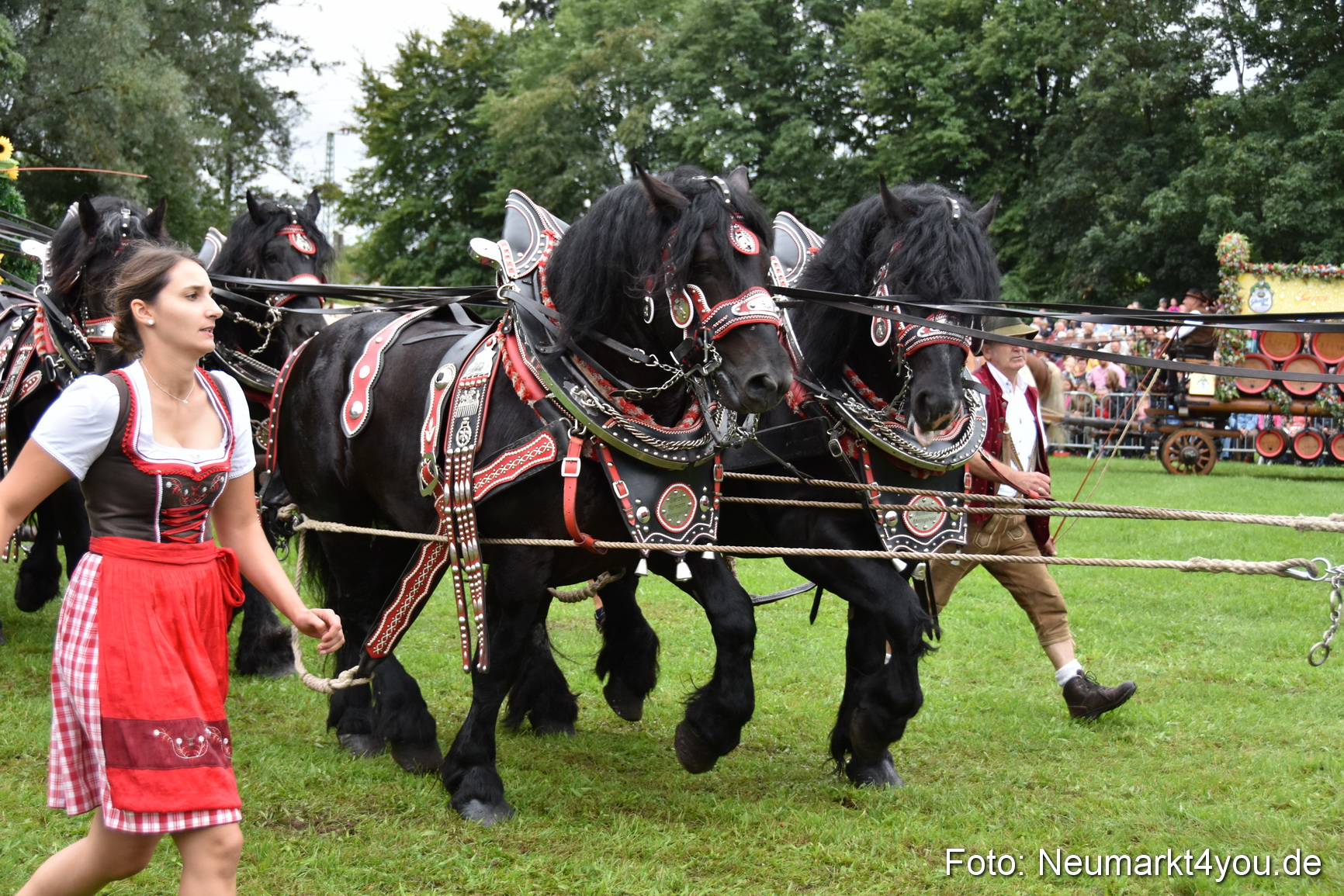 JURA Volksfest Pferdeshow 190819 0053